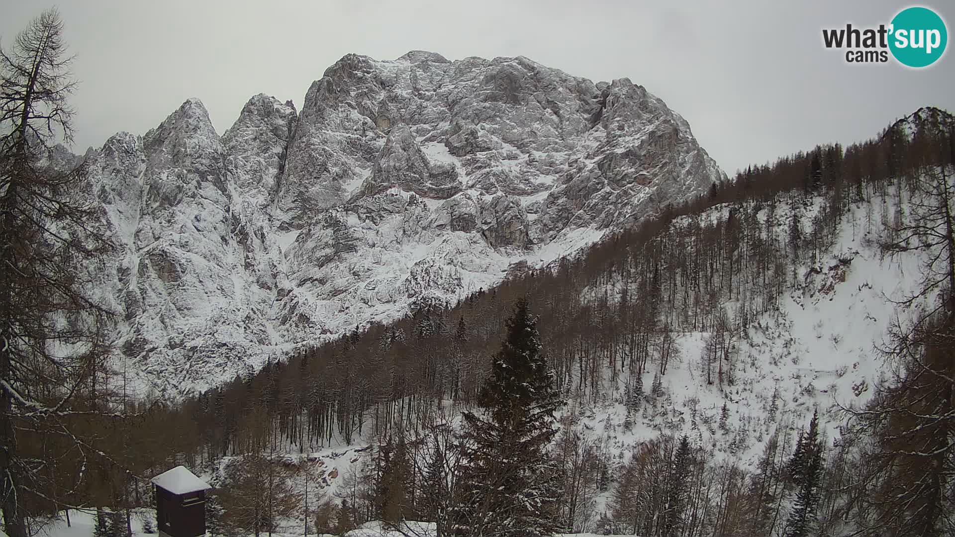 Webcam Vršič LIVE maison Erjavčeva – vue sur PRISOJNIK – Slovénie