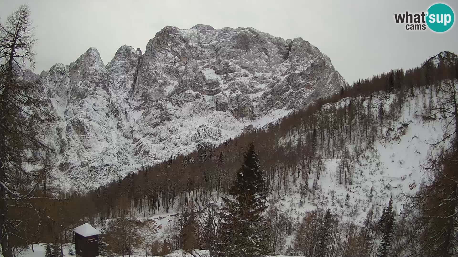 Vršič LIVE Webcam Haus Erjavčeva – Blick auf PRISOJNIK – Slowenien