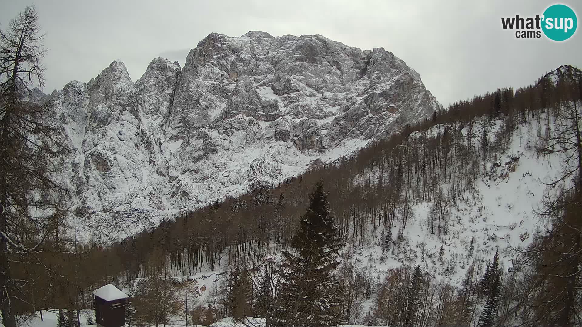 Webcam Vršič LIVE maison Erjavčeva – vue sur PRISOJNIK – Slovénie