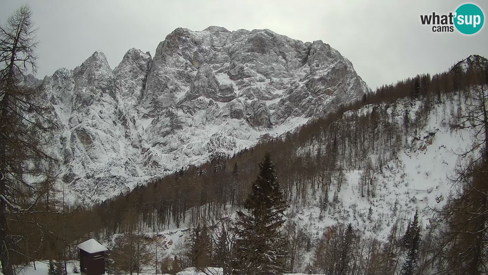 Webcam Vršič LIVE maison Erjavčeva – vue sur PRISOJNIK – Slovénie