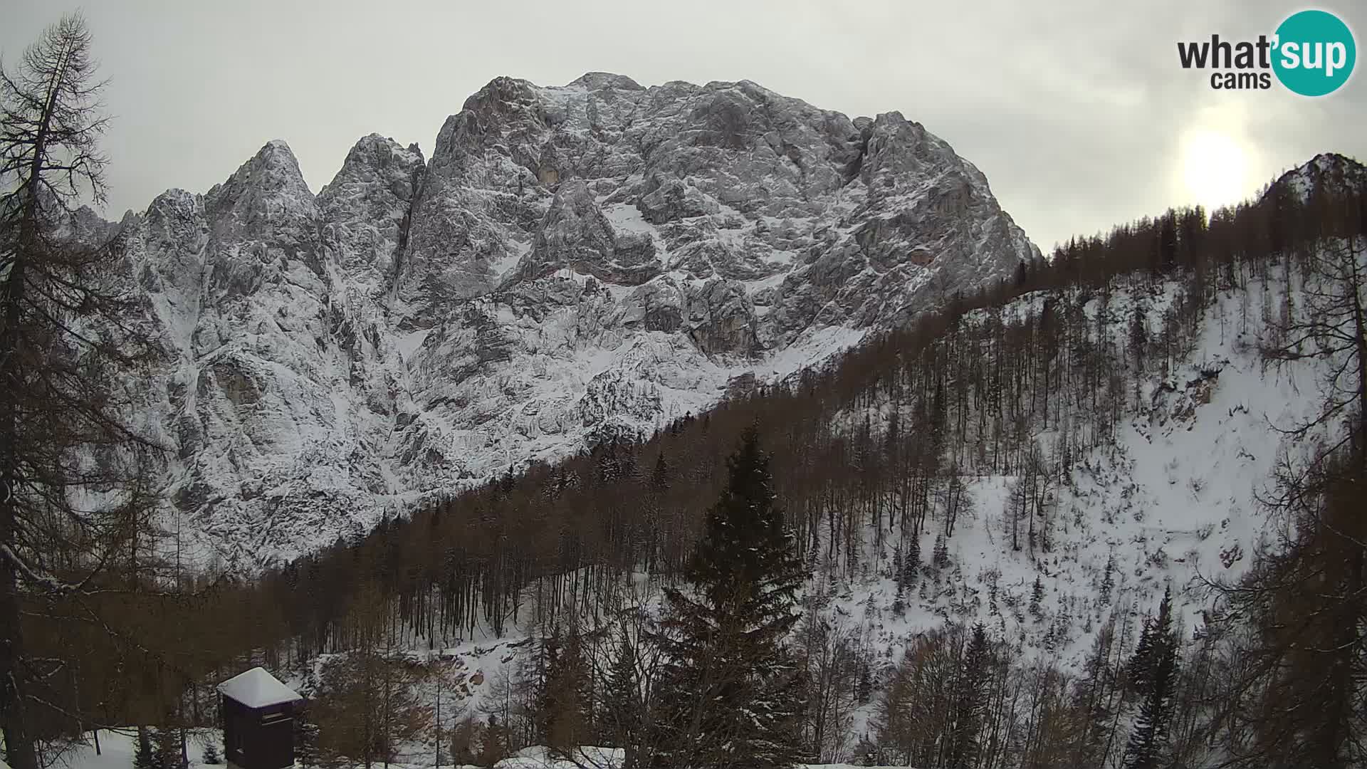 Webcam Vršič LIVE maison Erjavčeva – vue sur PRISOJNIK – Slovénie