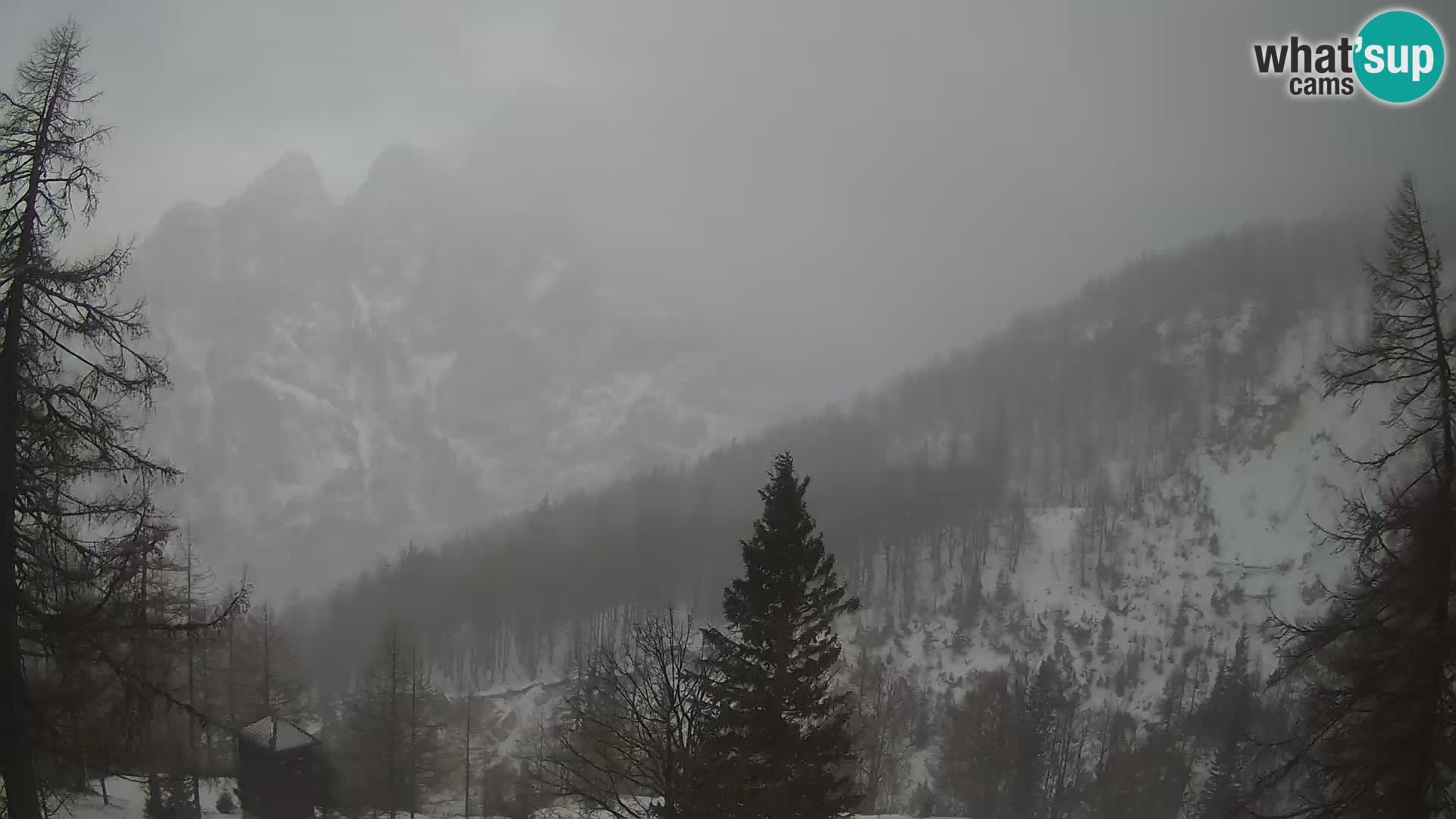 Webcam Vršič LIVE maison Erjavčeva – vue sur PRISOJNIK – Slovénie