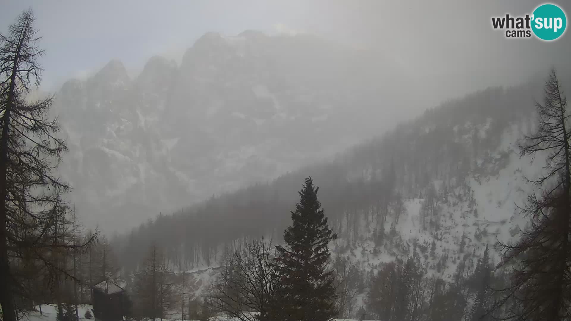 Vršič LIVE webcam casa Erjavčeva – vista sul PRISOJNIK – Slovenia