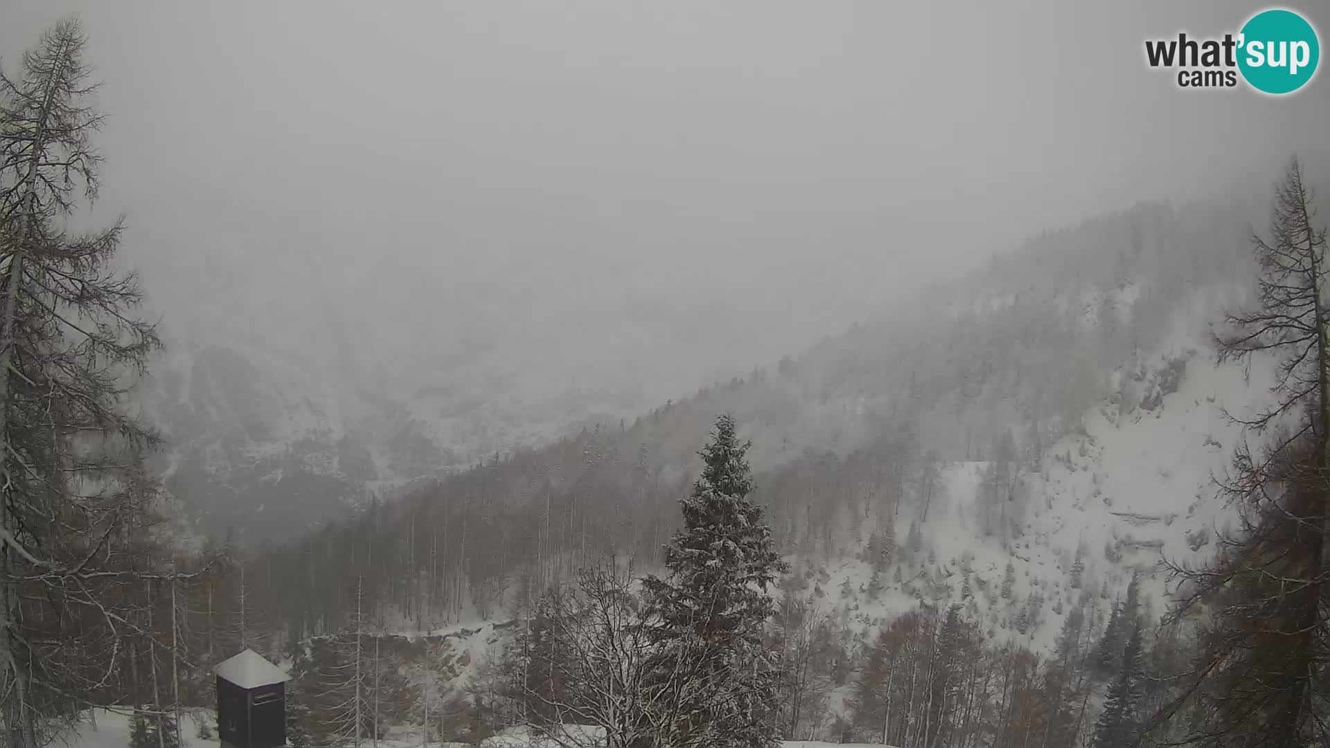 Vršič camera en vivo Casa Erjavčeva – vista a PRISOJNIK – Eslovenia