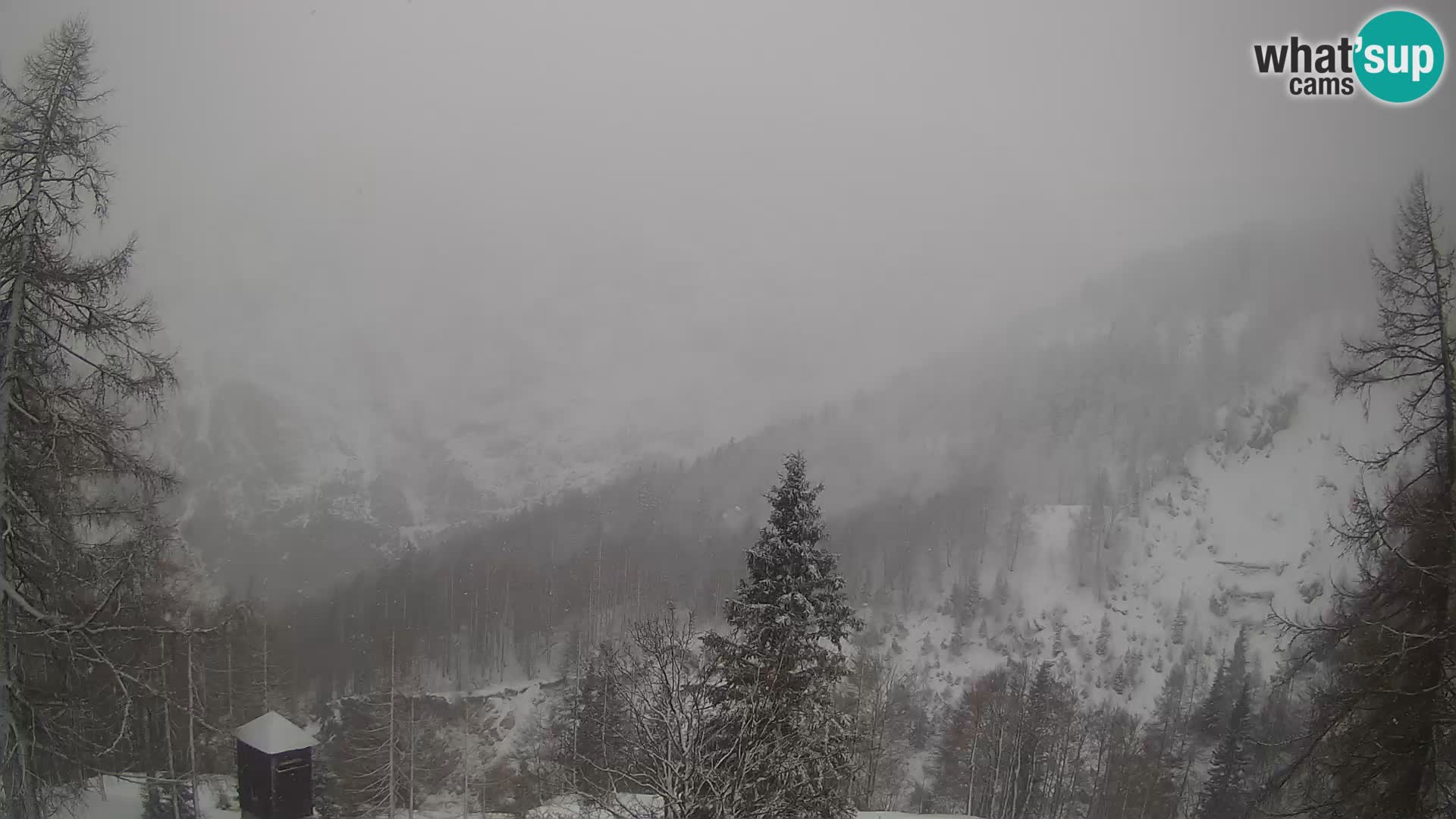 Vršič LIVE webcam Erjavčeva house – view to PRISOJNIK – Slovenia