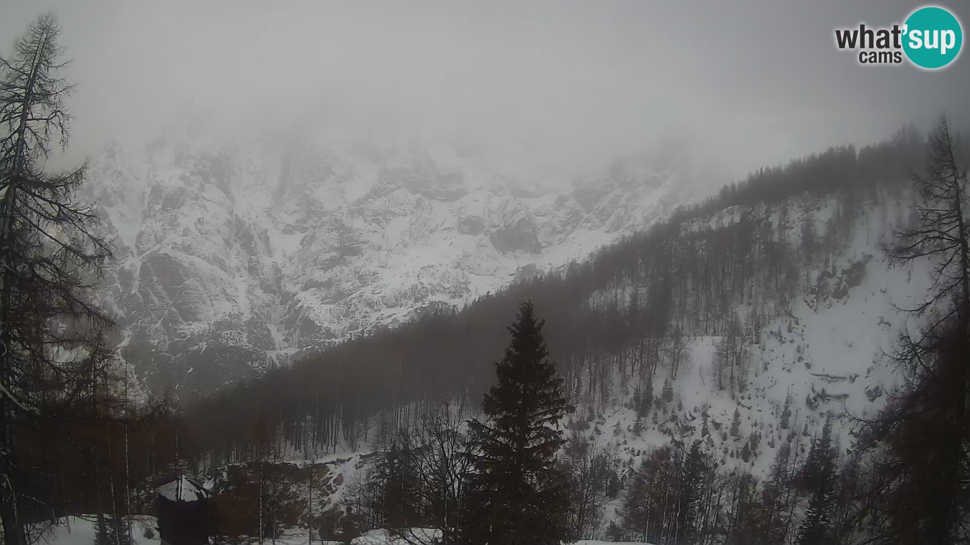 Vršič LIVE webcam casa Erjavčeva – vista sul PRISOJNIK – Slovenia