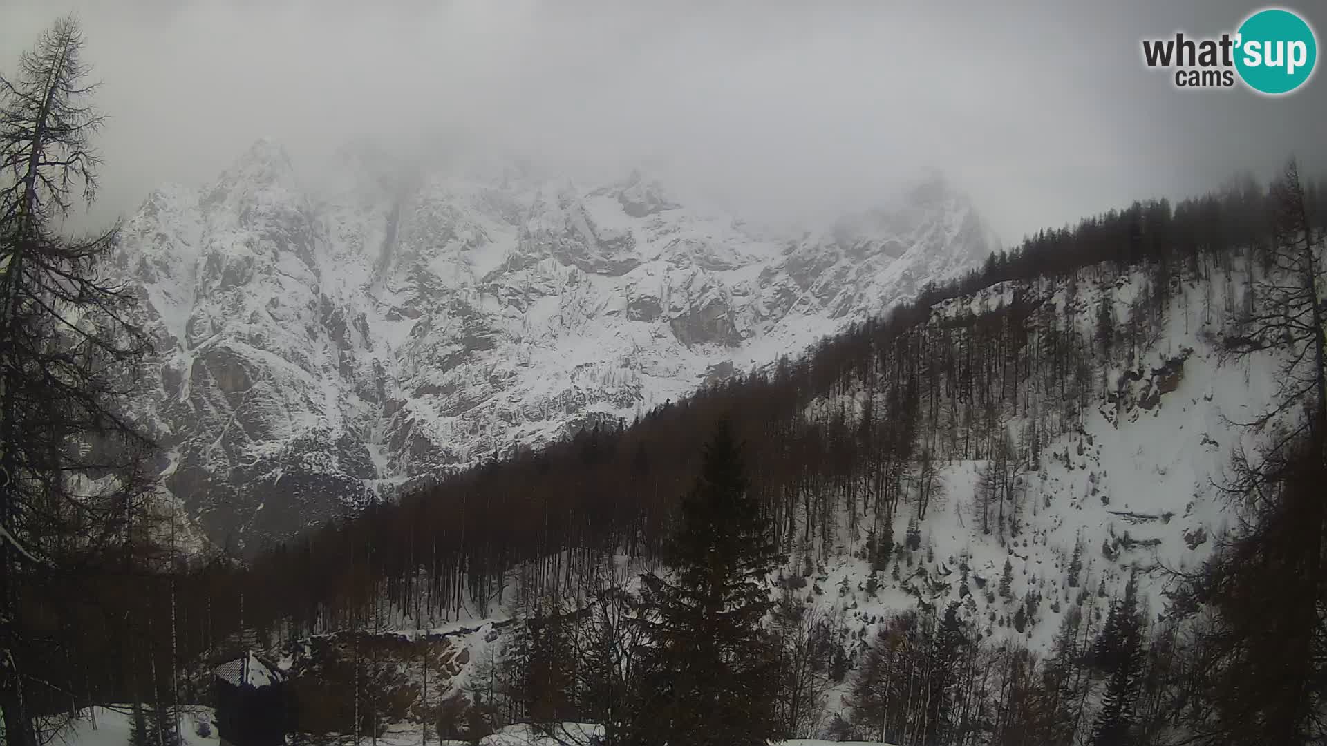 Webcam Vršič LIVE maison Erjavčeva – vue sur PRISOJNIK – Slovénie