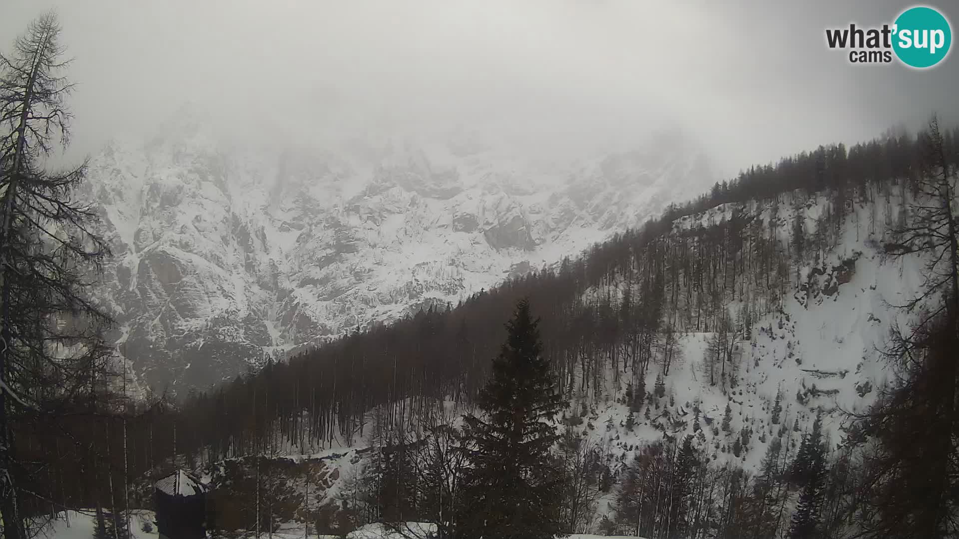 Vršič LIVE webcam casa Erjavčeva – vista sul PRISOJNIK – Slovenia