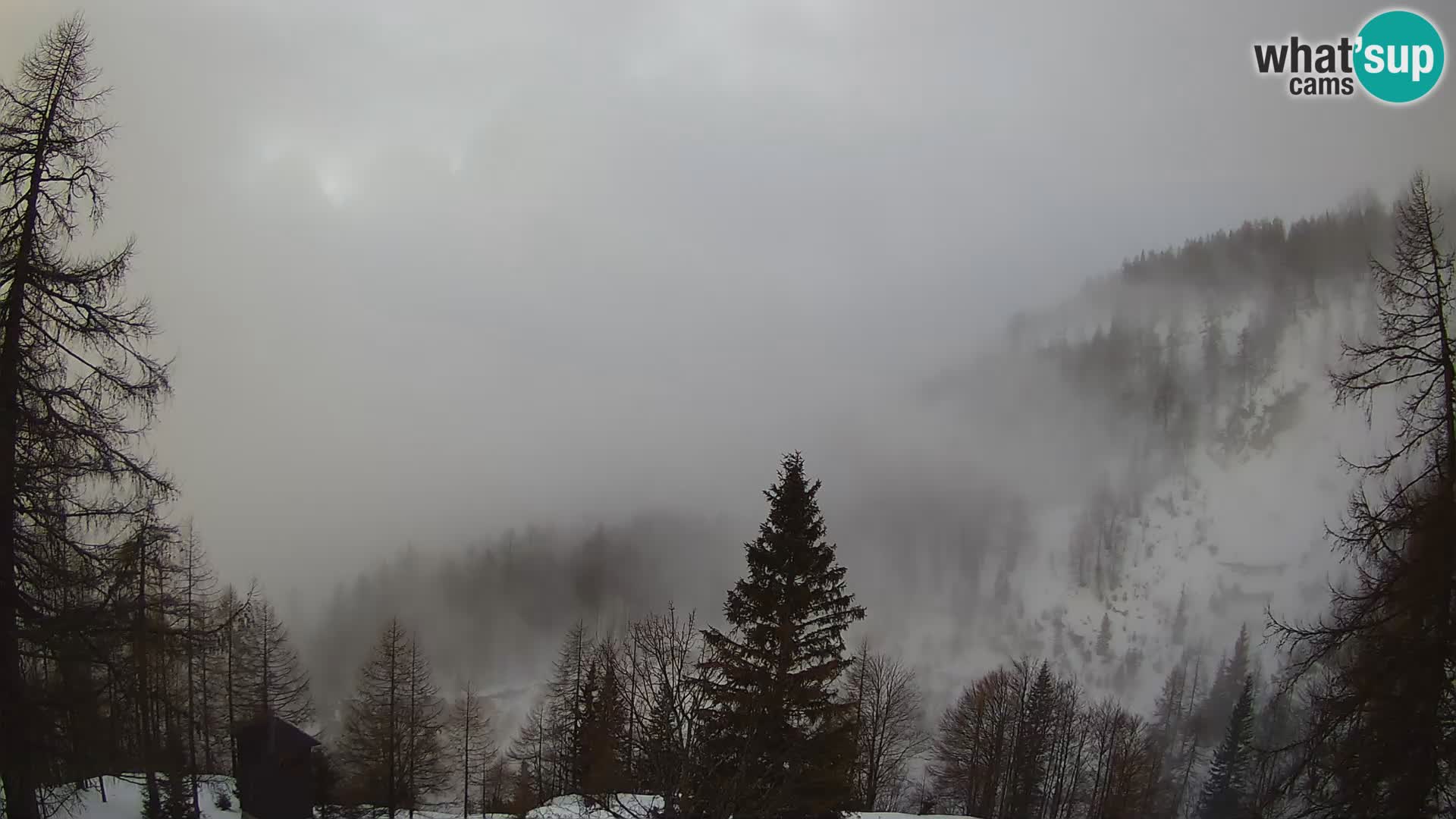 Vršič LIVE webcam Erjavčeva house – view to PRISOJNIK – Slovenia