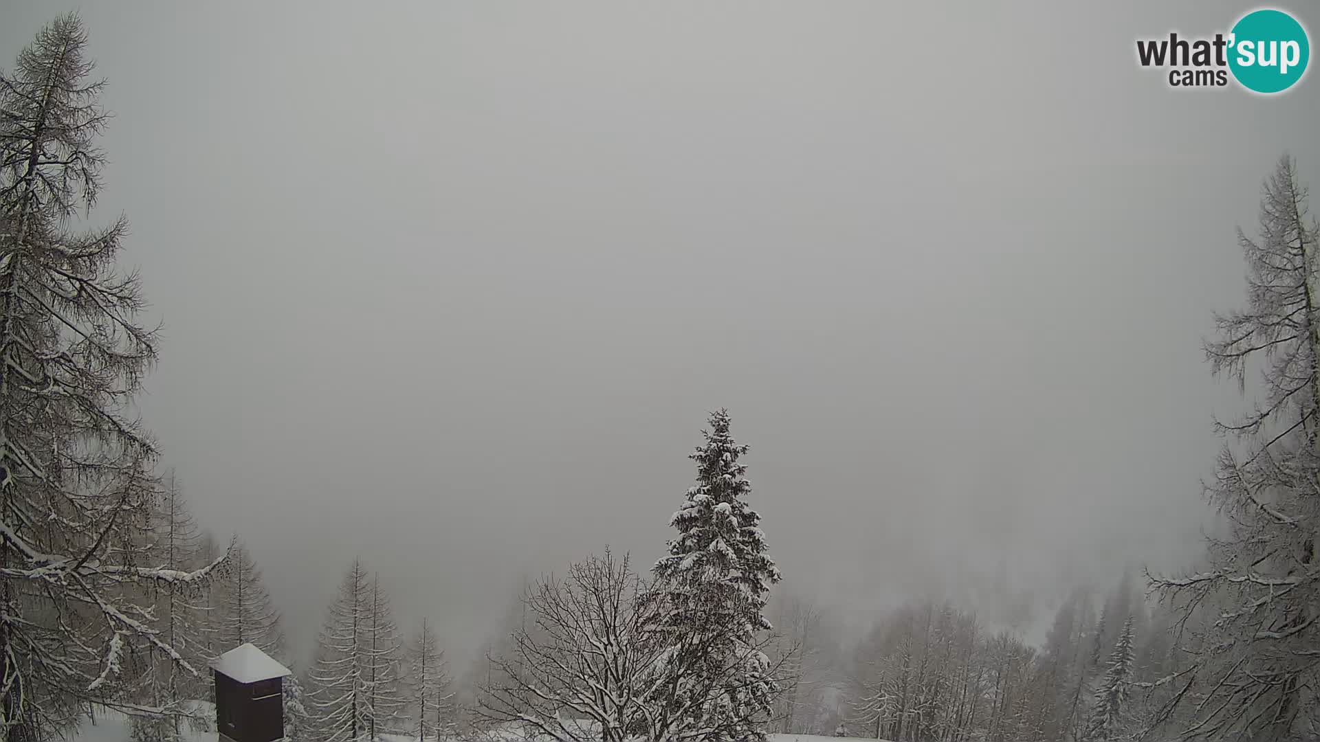 Webcam Vršič LIVE maison Erjavčeva – vue sur PRISOJNIK – Slovénie