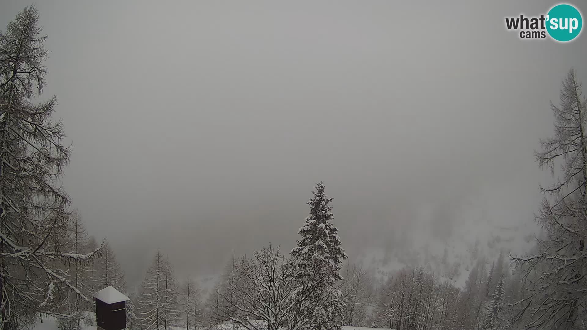 Vršič LIVE webcam Erjavčeva house – view to PRISOJNIK – Slovenia