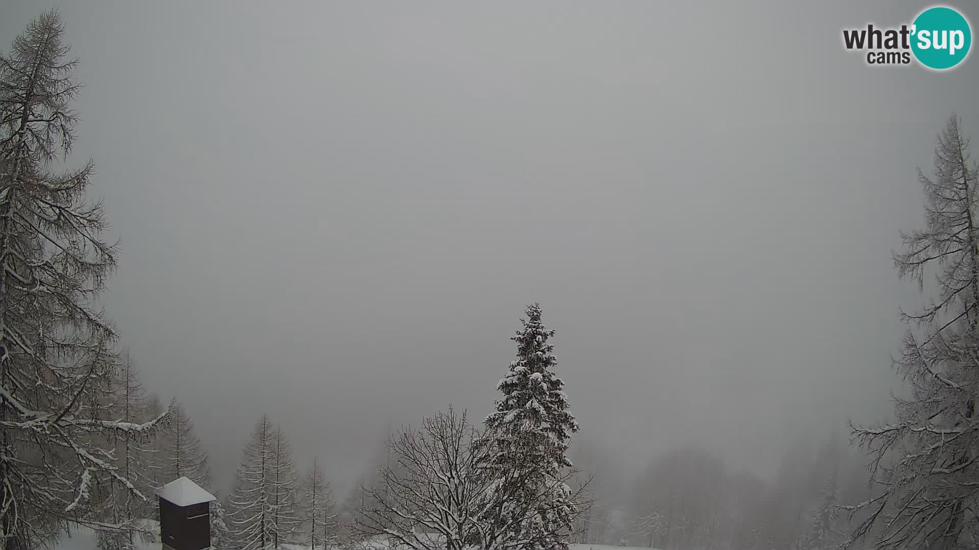 Vršič LIVE webcam casa Erjavčeva – vista sul PRISOJNIK – Slovenia