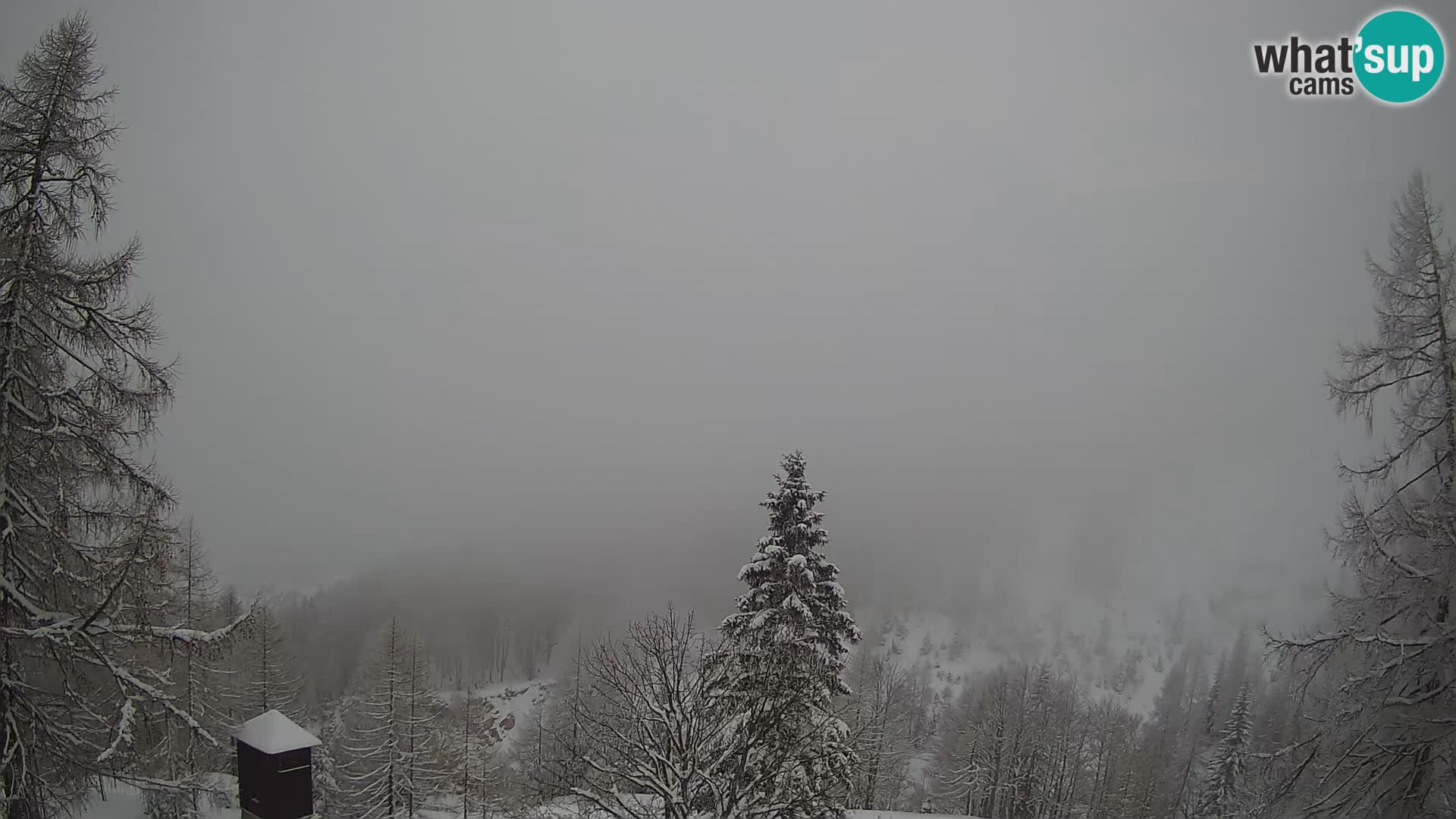 Vršič LIVE webcam Erjavčeva house – view to PRISOJNIK – Slovenia