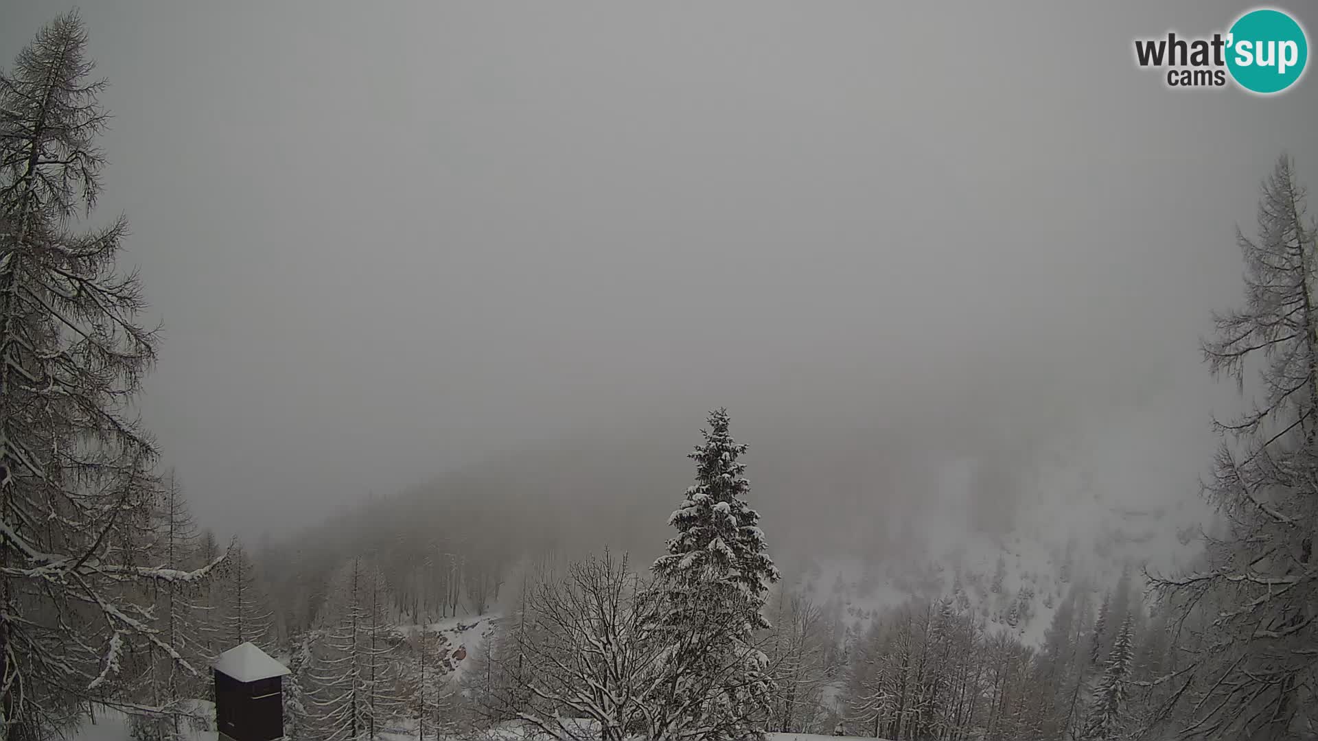 Webcam Vršič LIVE maison Erjavčeva – vue sur PRISOJNIK – Slovénie