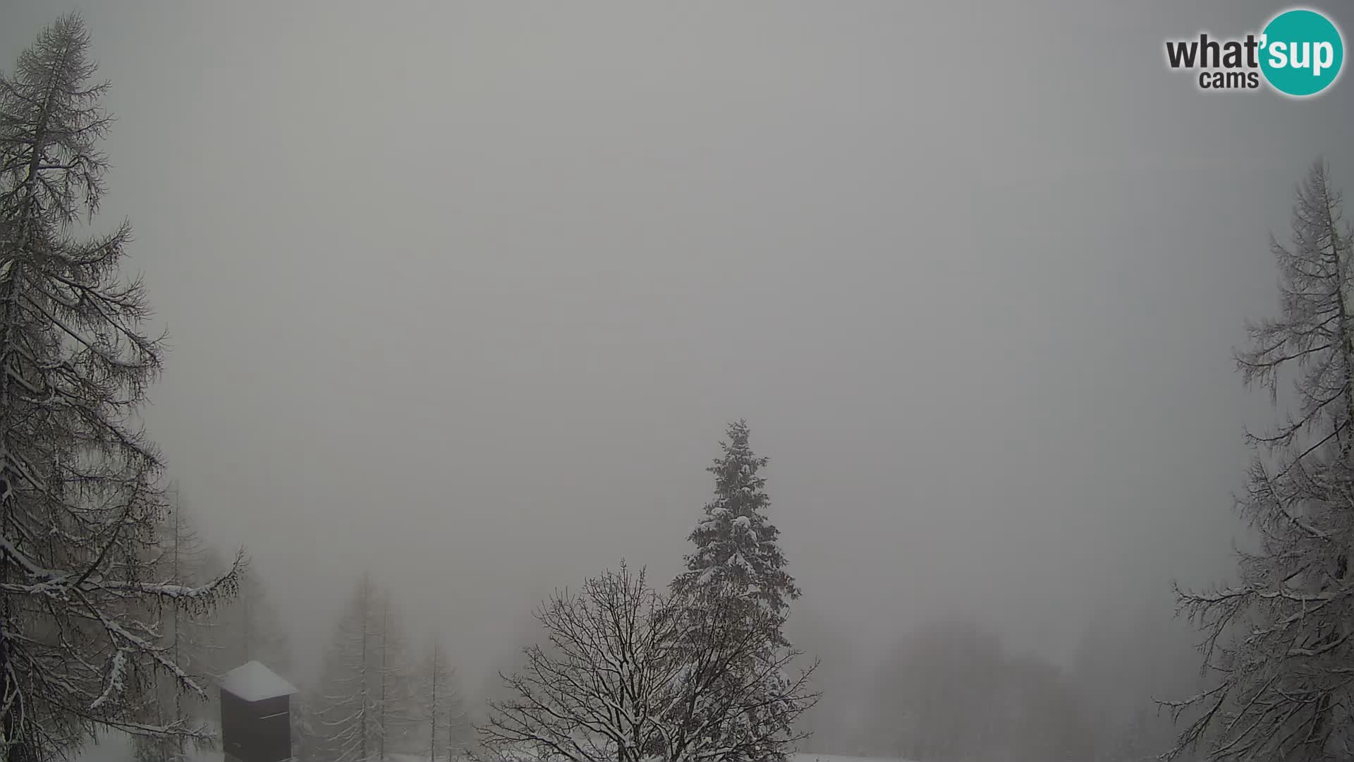 Vršič LIVE webcam casa Erjavčeva – vista sul PRISOJNIK – Slovenia