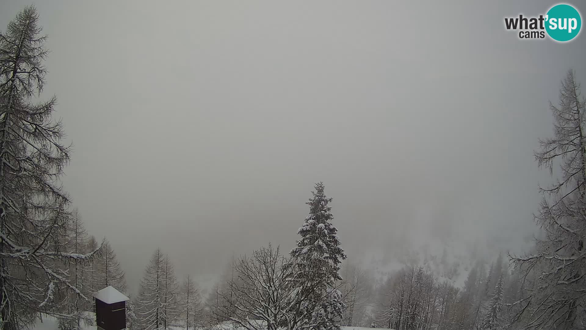 Webcam Vršič LIVE maison Erjavčeva – vue sur PRISOJNIK – Slovénie