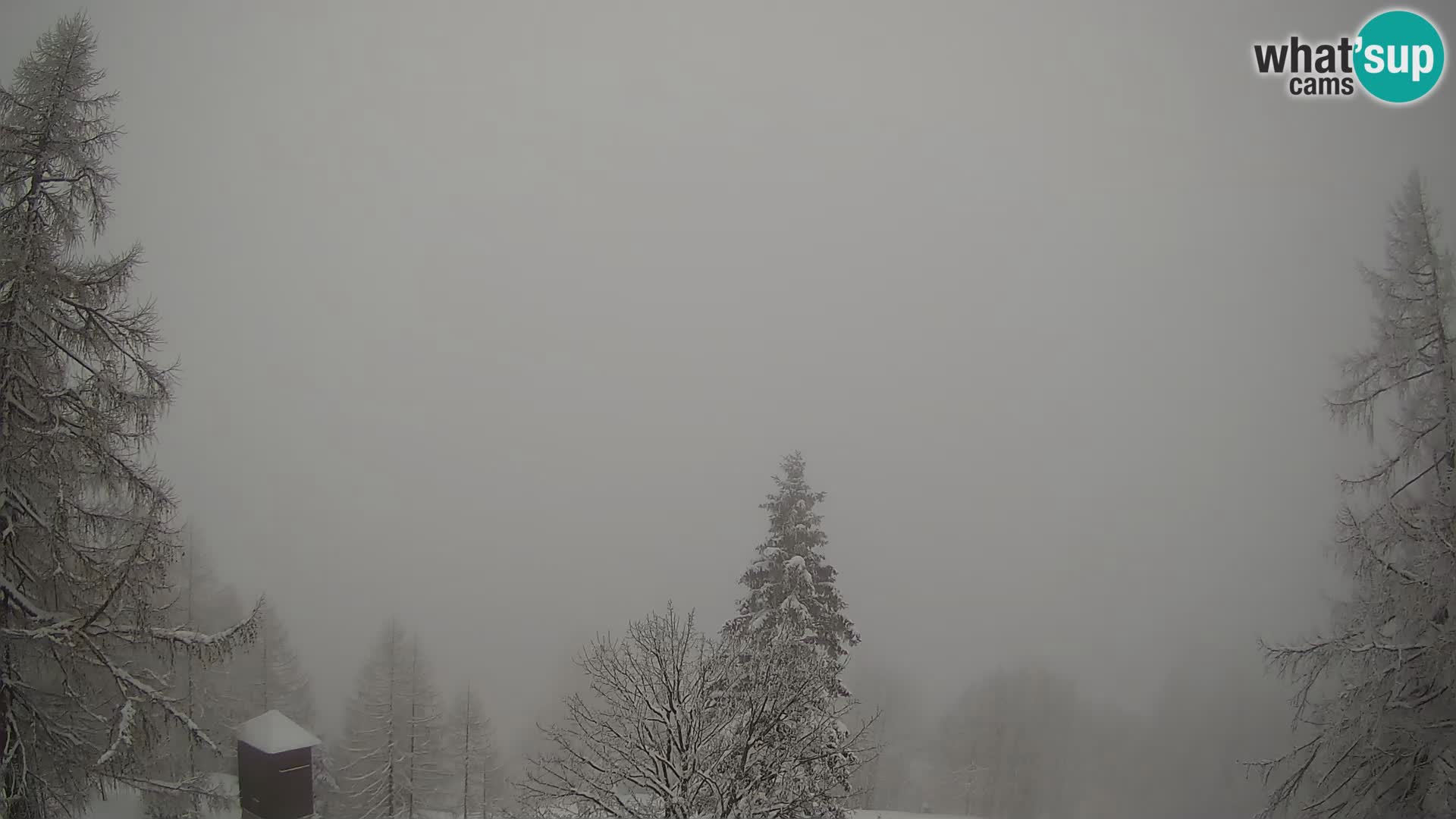 Vršič LIVE webcam casa Erjavčeva – vista sul PRISOJNIK – Slovenia