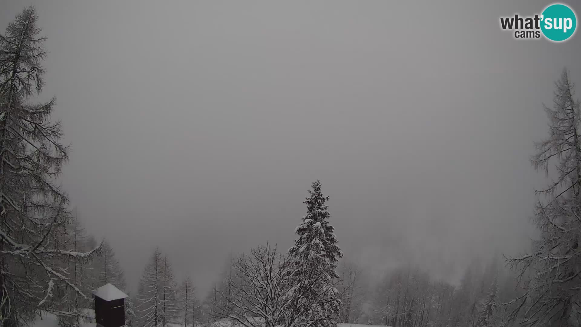 Vršič LIVE Webcam Haus Erjavčeva – Blick auf PRISOJNIK – Slowenien