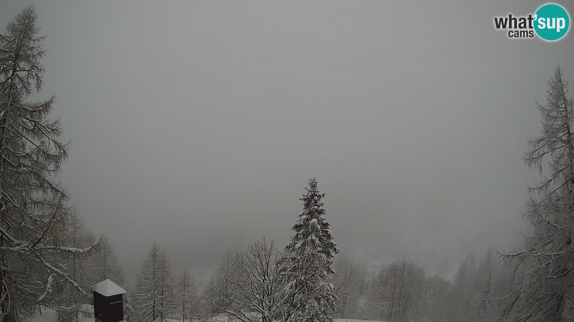 Webcam Vršič LIVE maison Erjavčeva – vue sur PRISOJNIK – Slovénie