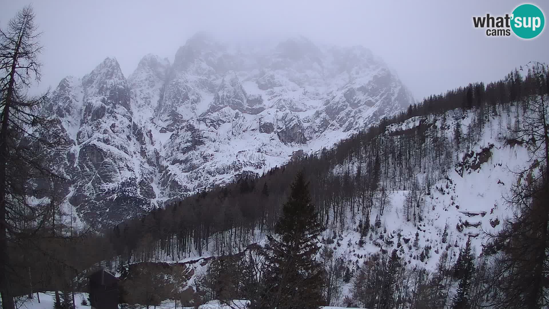 Webcam Vršič LIVE maison Erjavčeva – vue sur PRISOJNIK – Slovénie