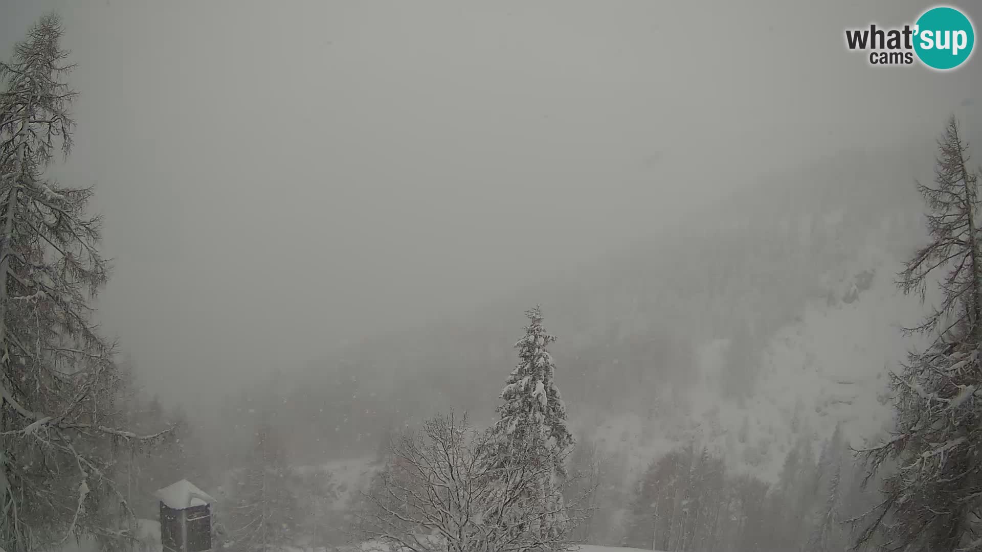 Vršič LIVE Webcam Haus Erjavčeva – Blick auf PRISOJNIK – Slowenien