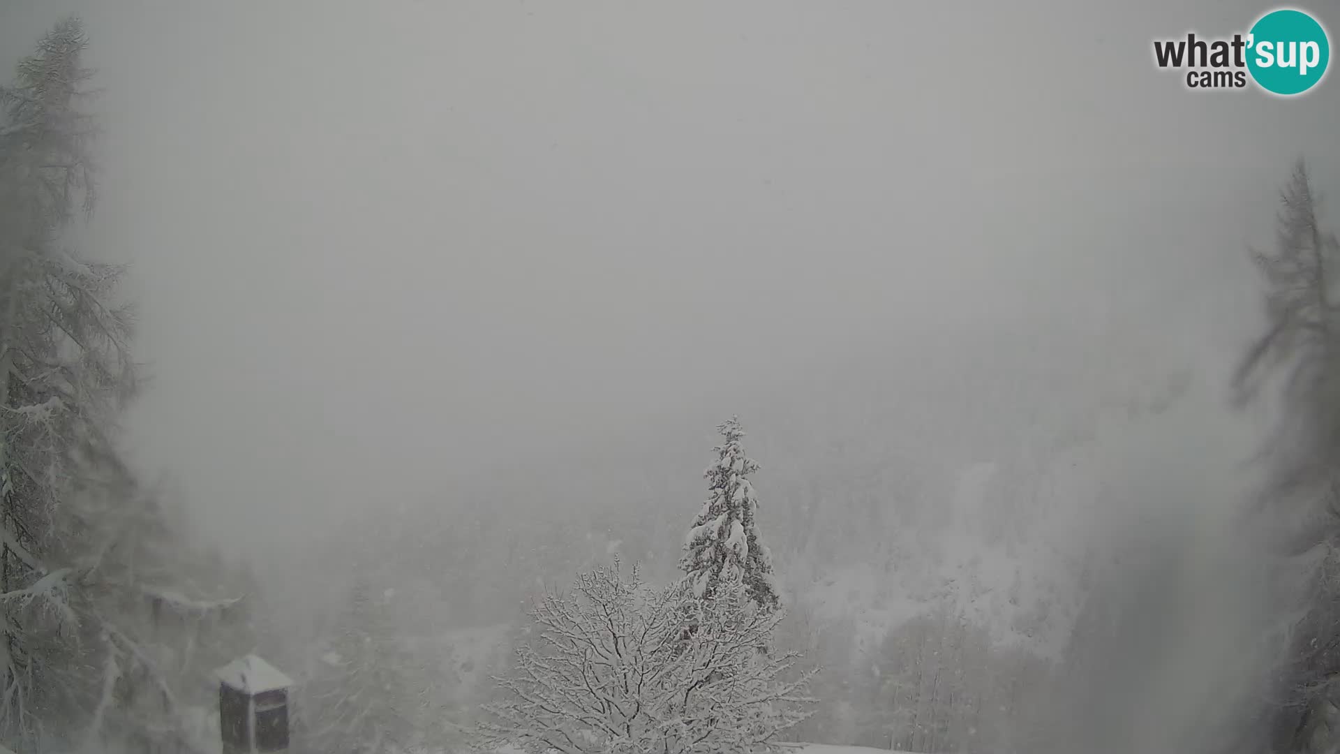 Vršič LIVE Webcam Haus Erjavčeva – Blick auf PRISOJNIK – Slowenien