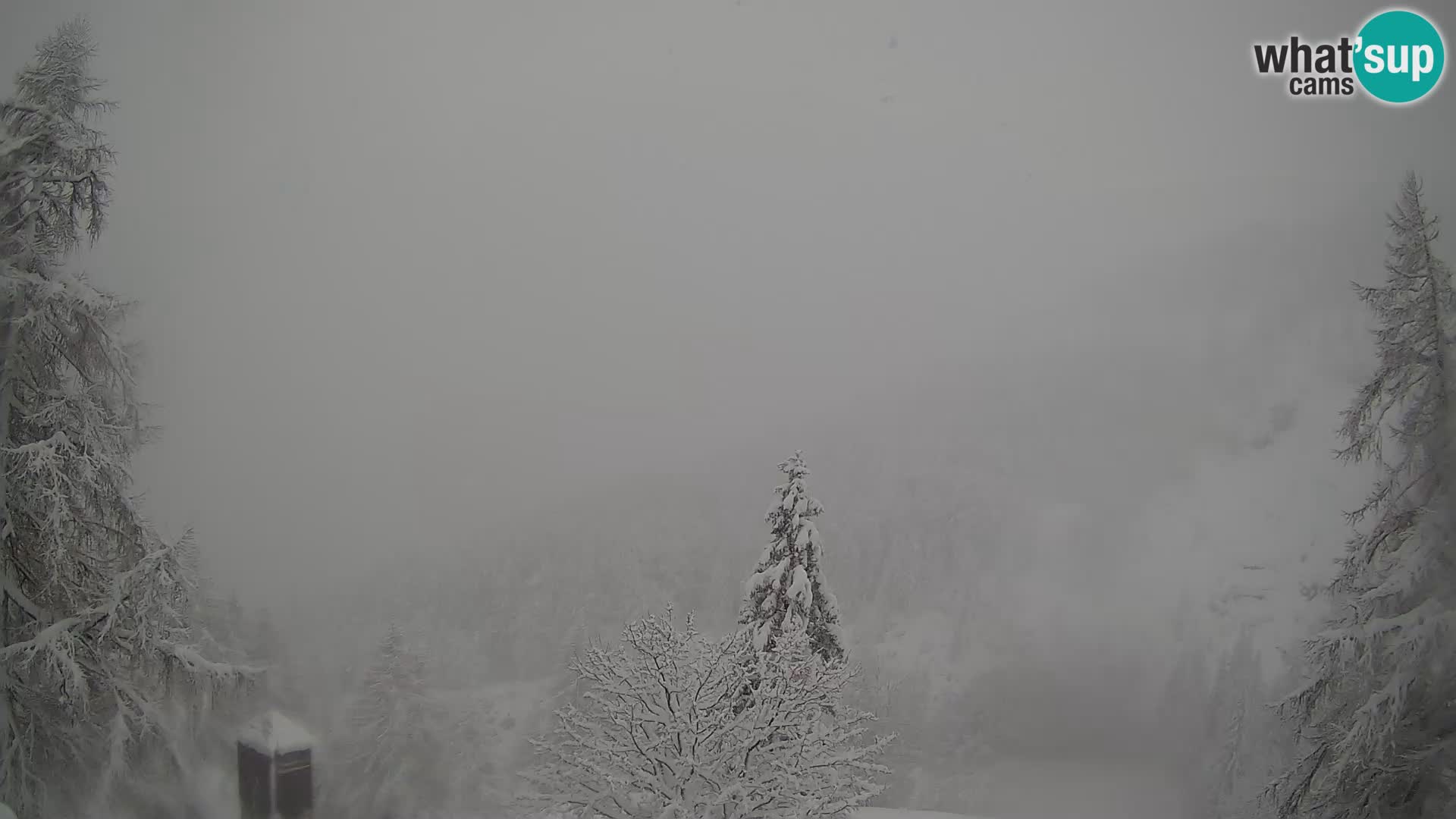 Vršič camera en vivo Casa Erjavčeva – vista a PRISOJNIK – Eslovenia