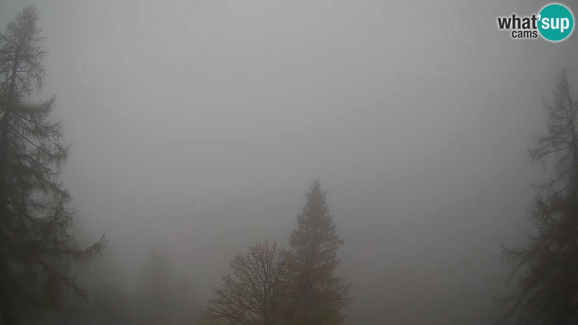 Vršič camera en vivo Casa Erjavčeva – vista a PRISOJNIK – Eslovenia