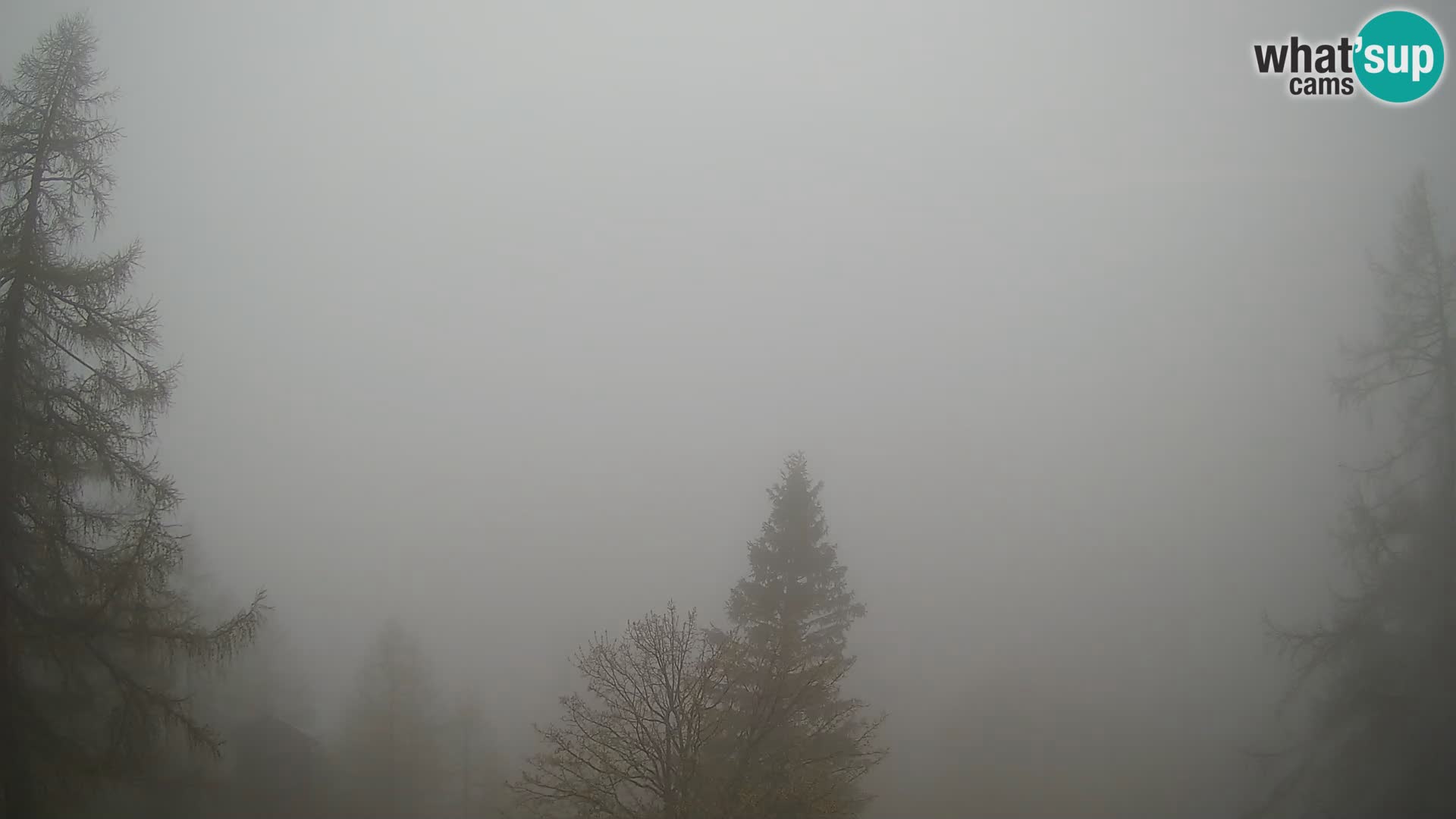 Webcam Vršič LIVE maison Erjavčeva – vue sur PRISOJNIK – Slovénie