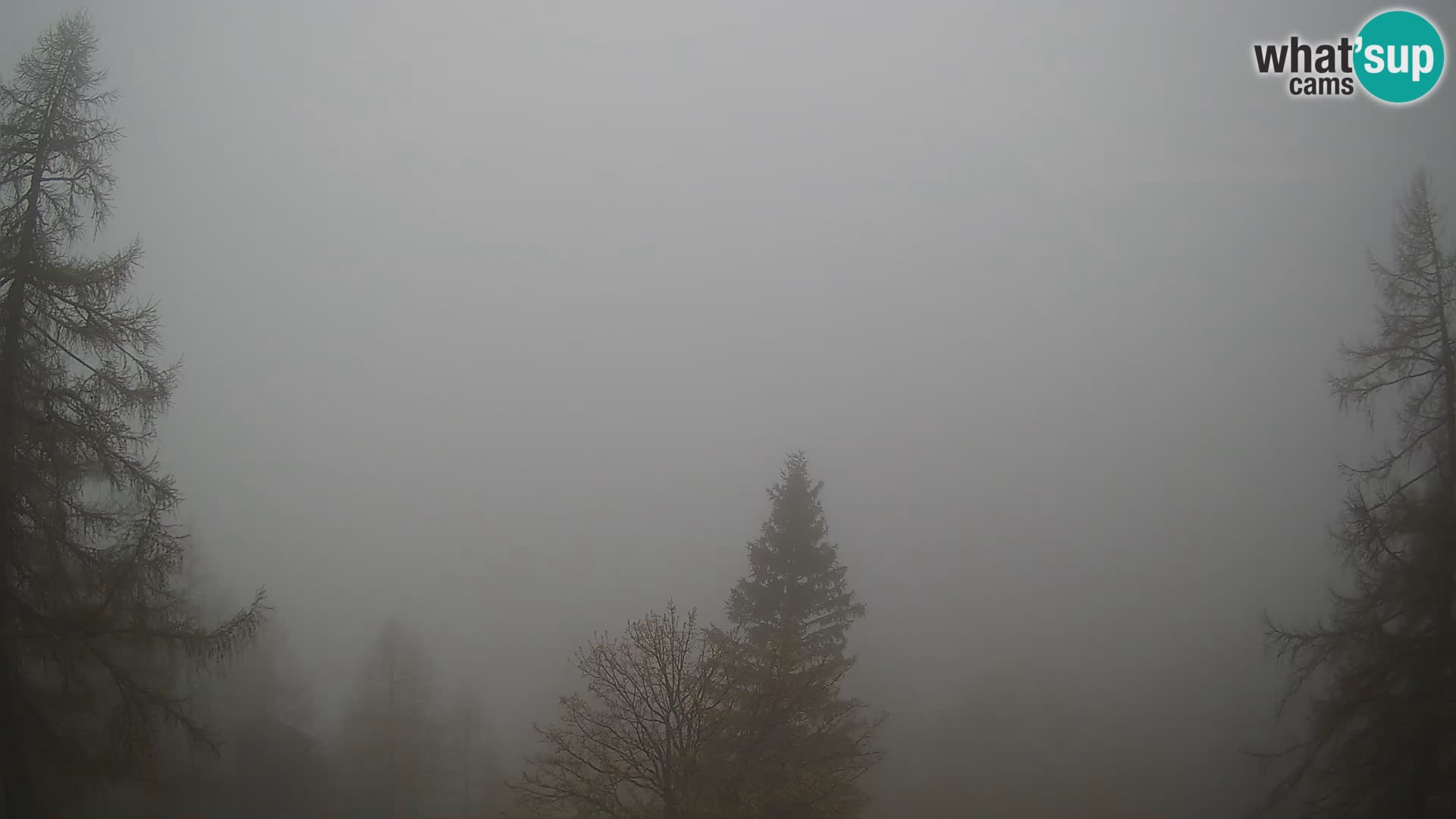 Vršič LIVE webcam Erjavčeva house – view to PRISOJNIK – Slovenia