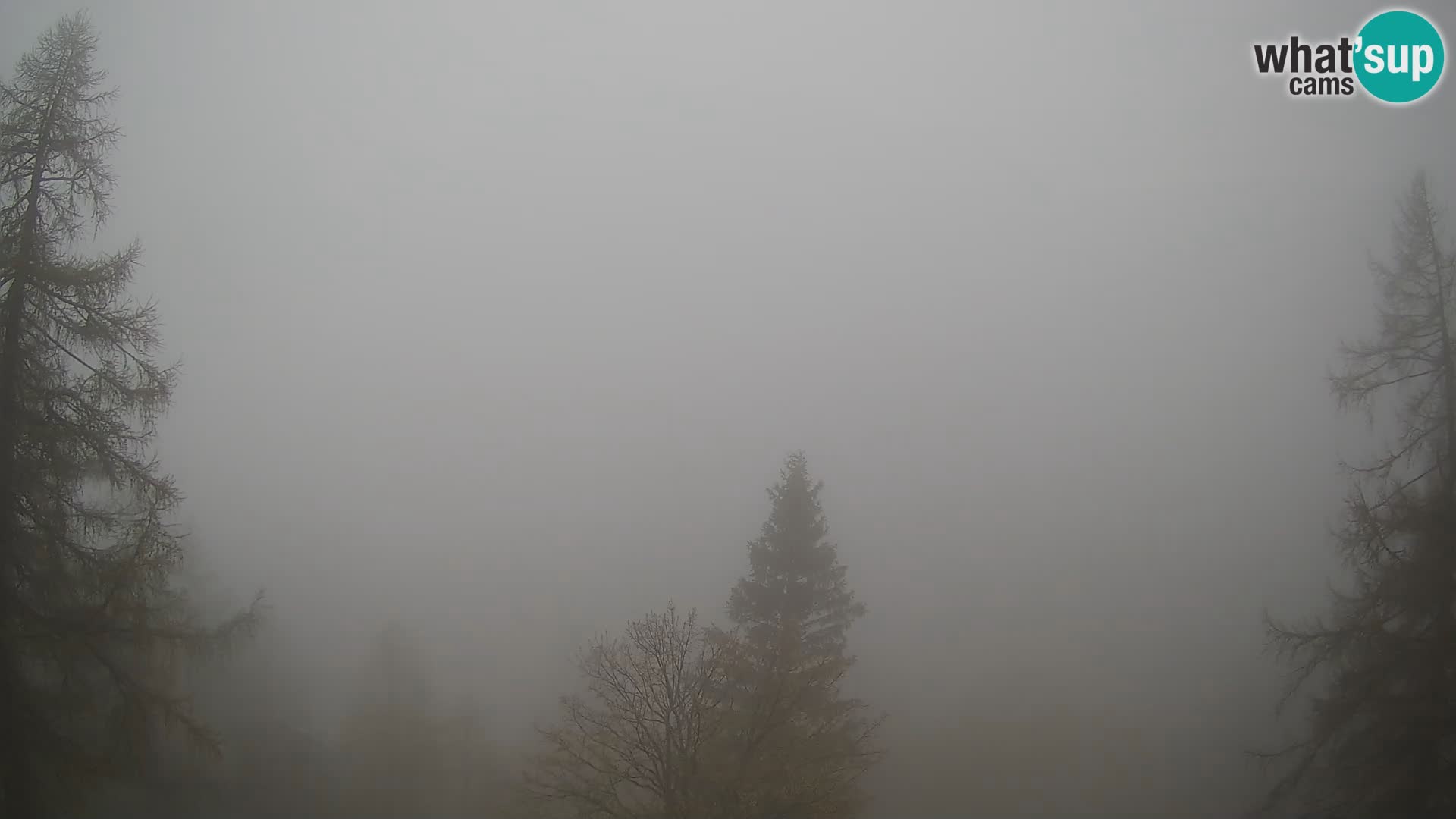 Vršič LIVE webcam Erjavčeva house – view to PRISOJNIK – Slovenia