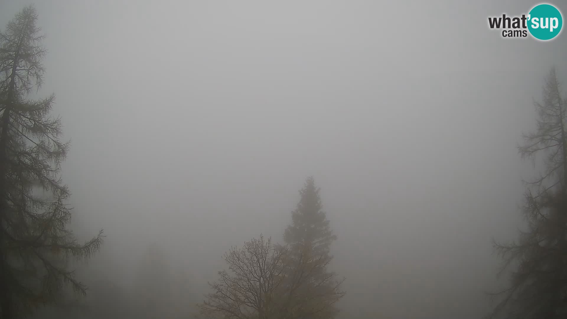 Vršič camera en vivo Casa Erjavčeva – vista a PRISOJNIK – Eslovenia