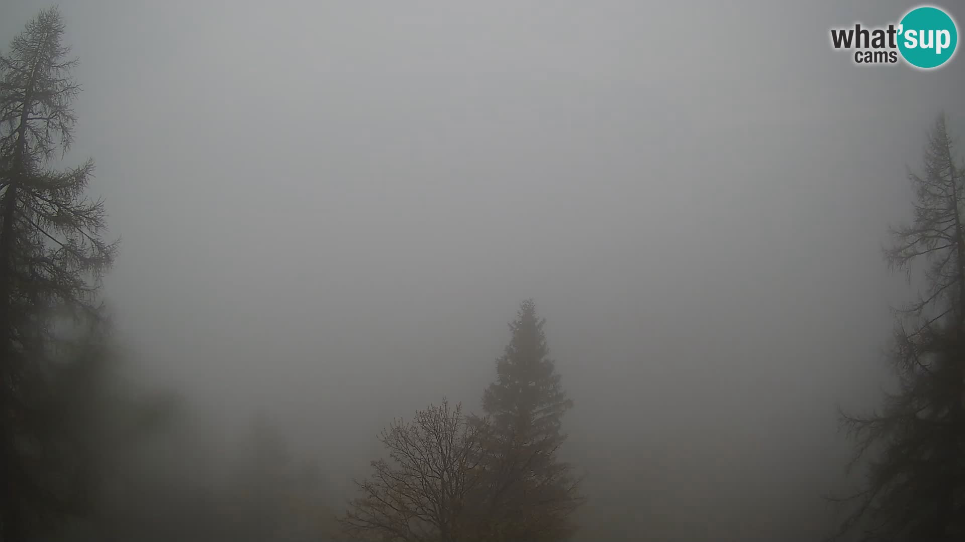 Vršič camera en vivo Casa Erjavčeva – vista a PRISOJNIK – Eslovenia