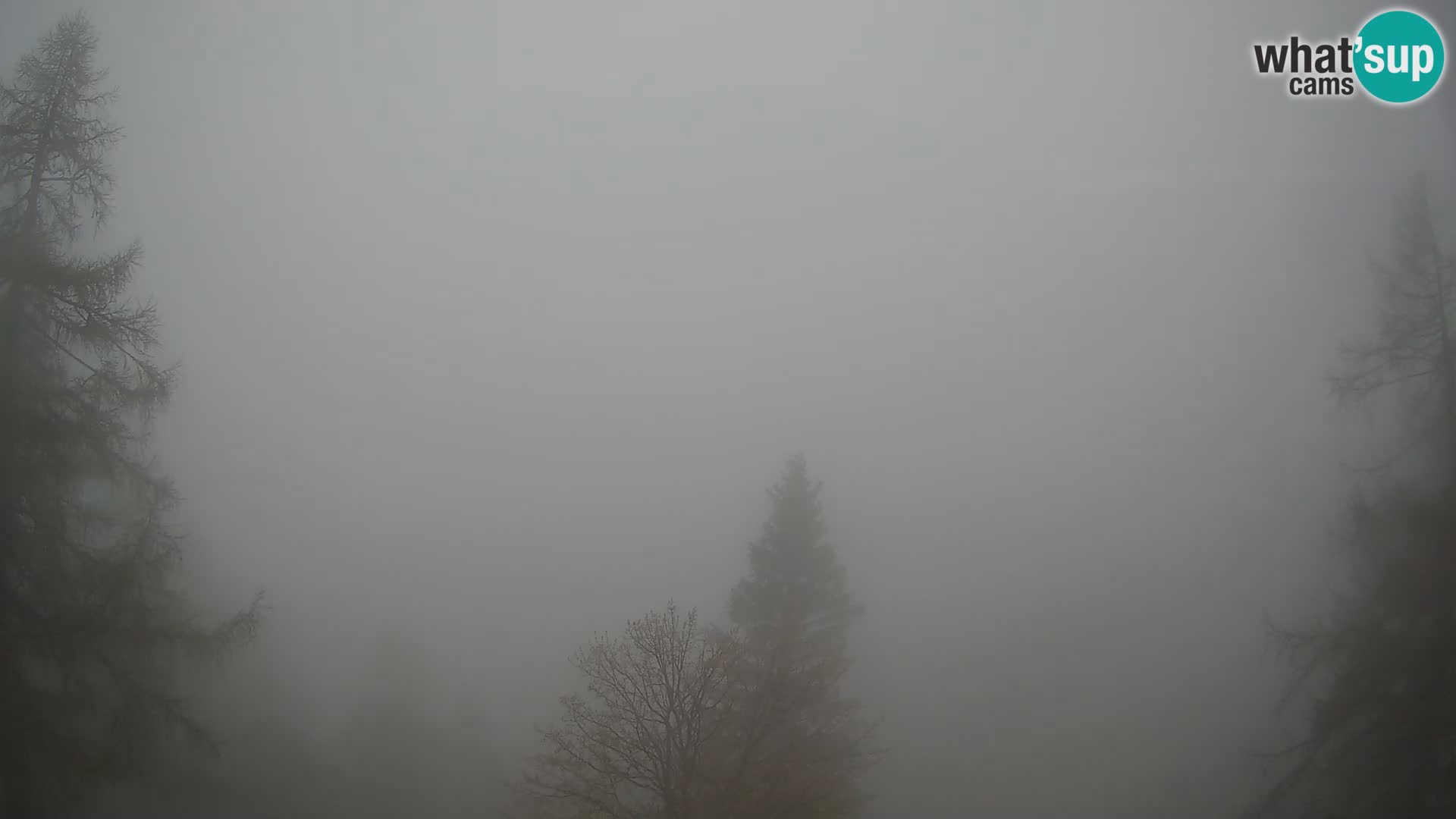 Webcam Vršič LIVE maison Erjavčeva – vue sur PRISOJNIK – Slovénie