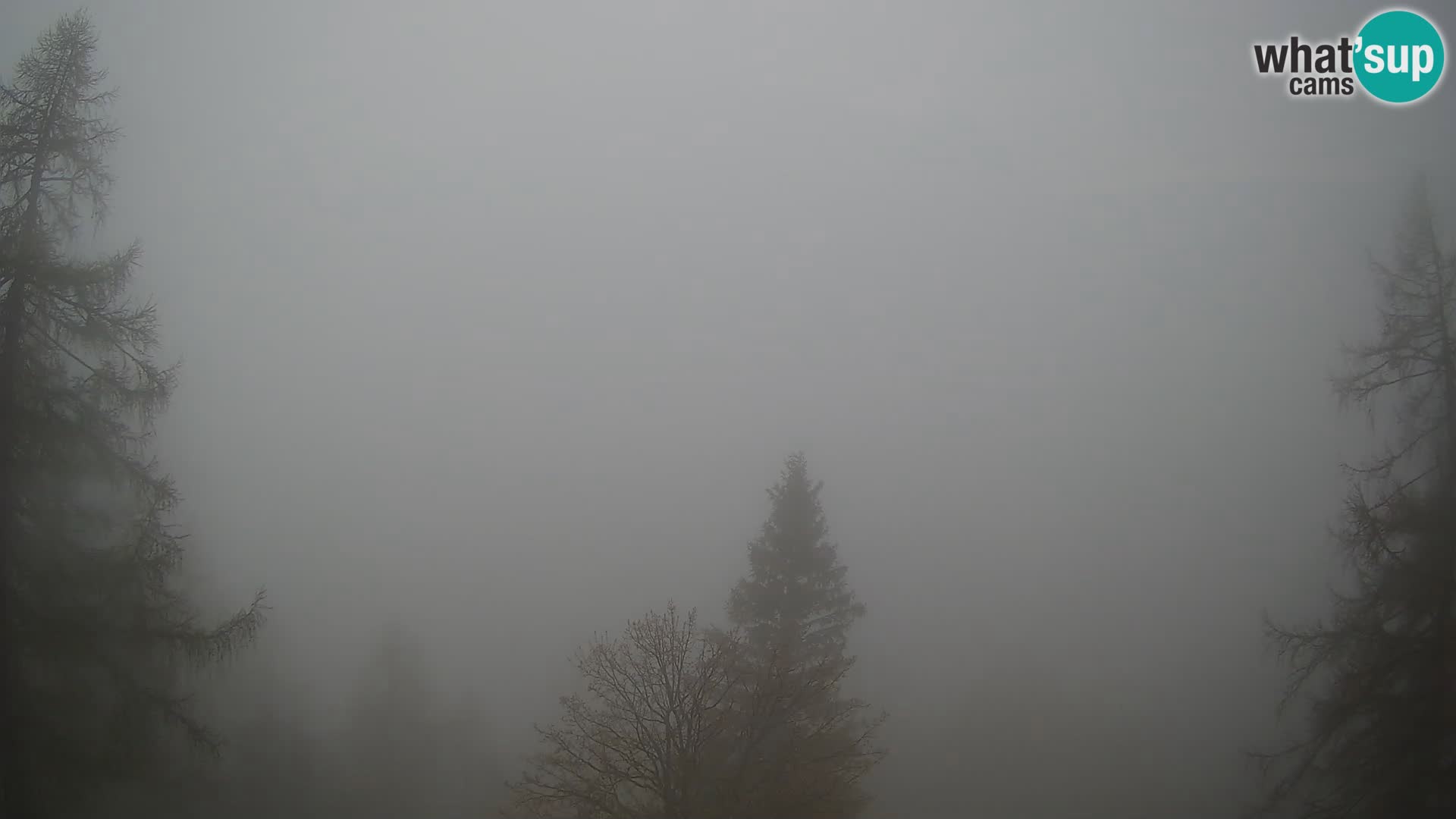 Vršič LIVE webcam casa Erjavčeva – vista sul PRISOJNIK – Slovenia