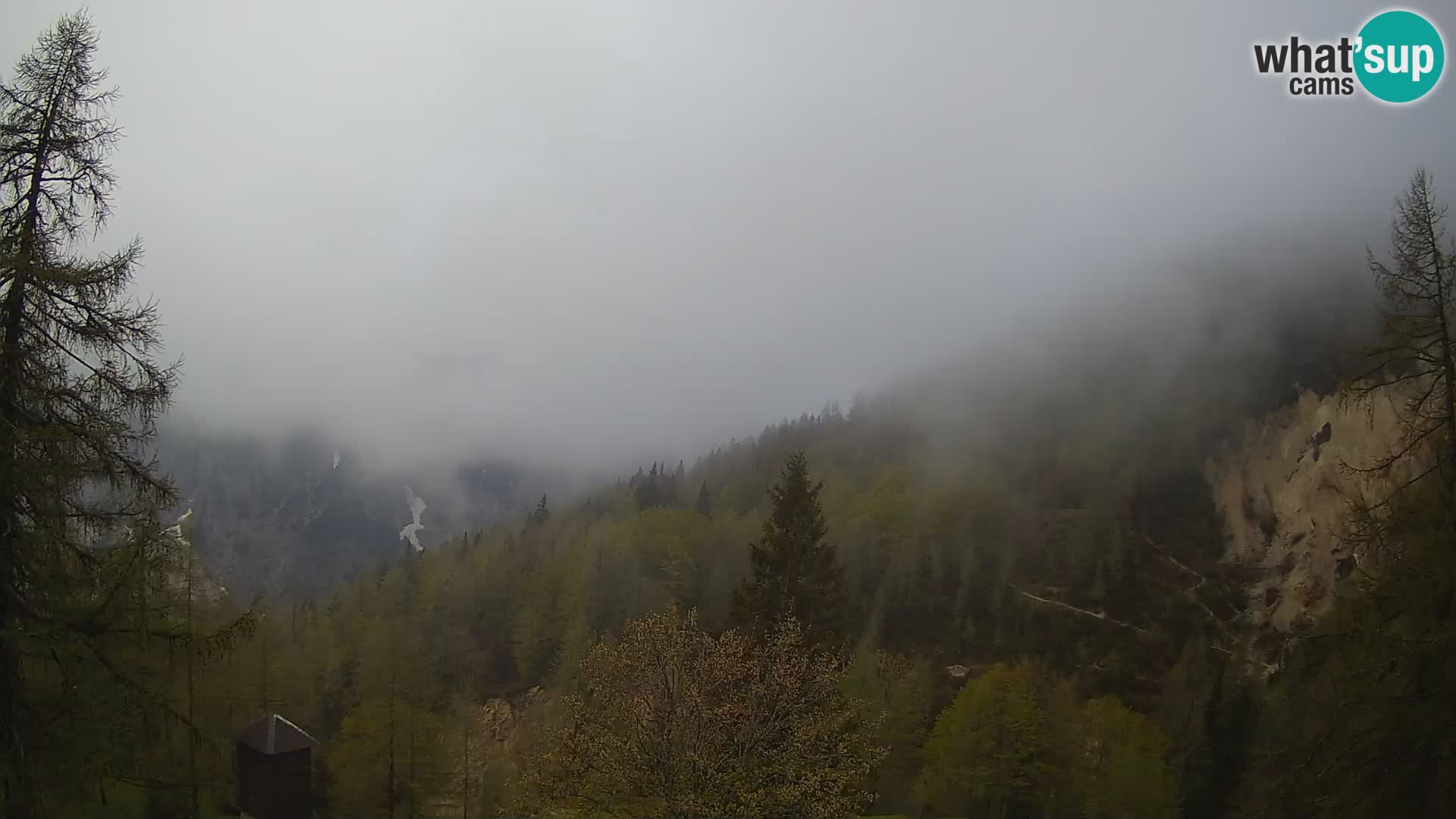 Vršič LIVE webcam casa Erjavčeva – vista sul PRISOJNIK – Slovenia