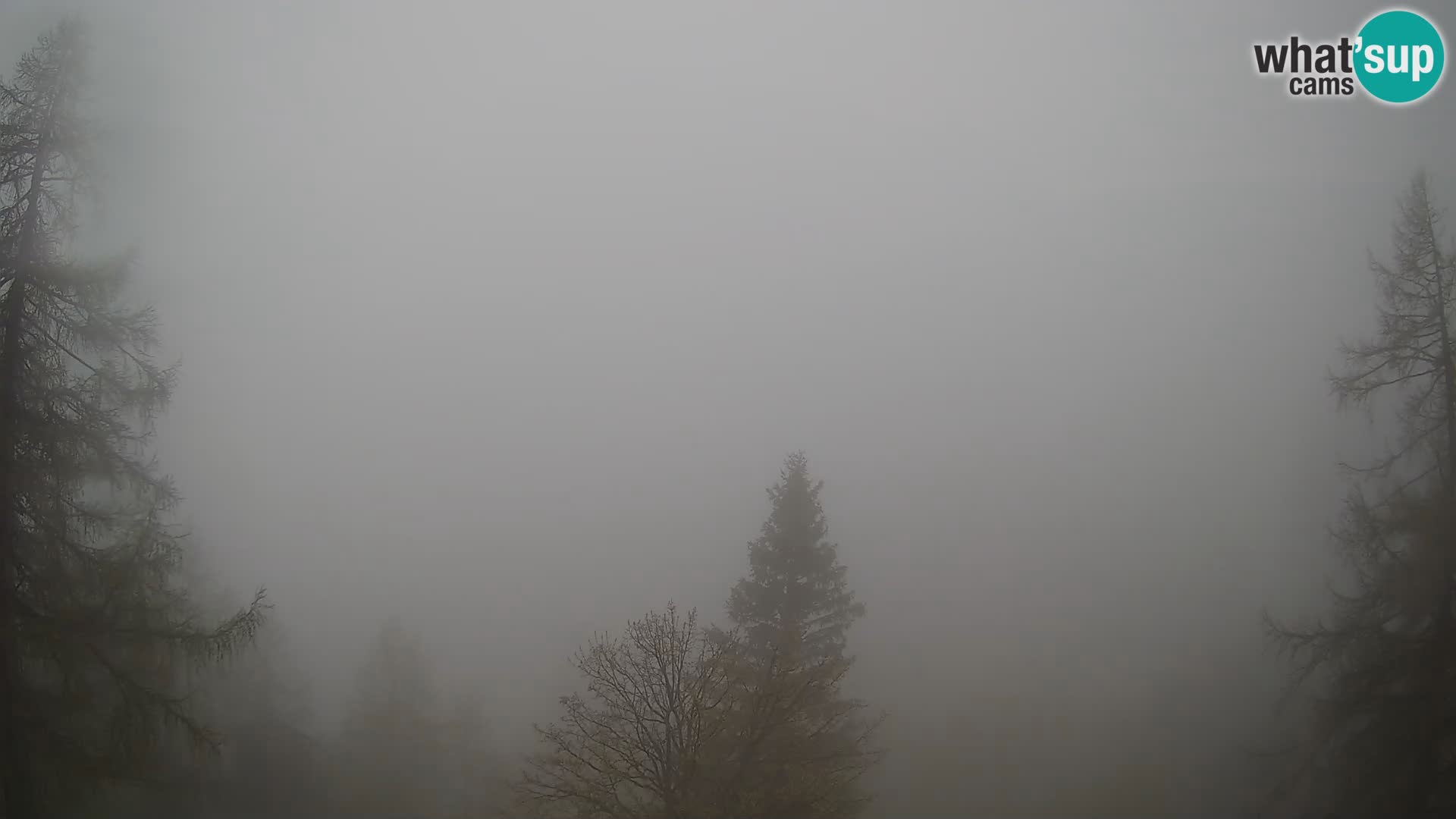 Vršič LIVE webcam Erjavčeva house – view to PRISOJNIK – Slovenia