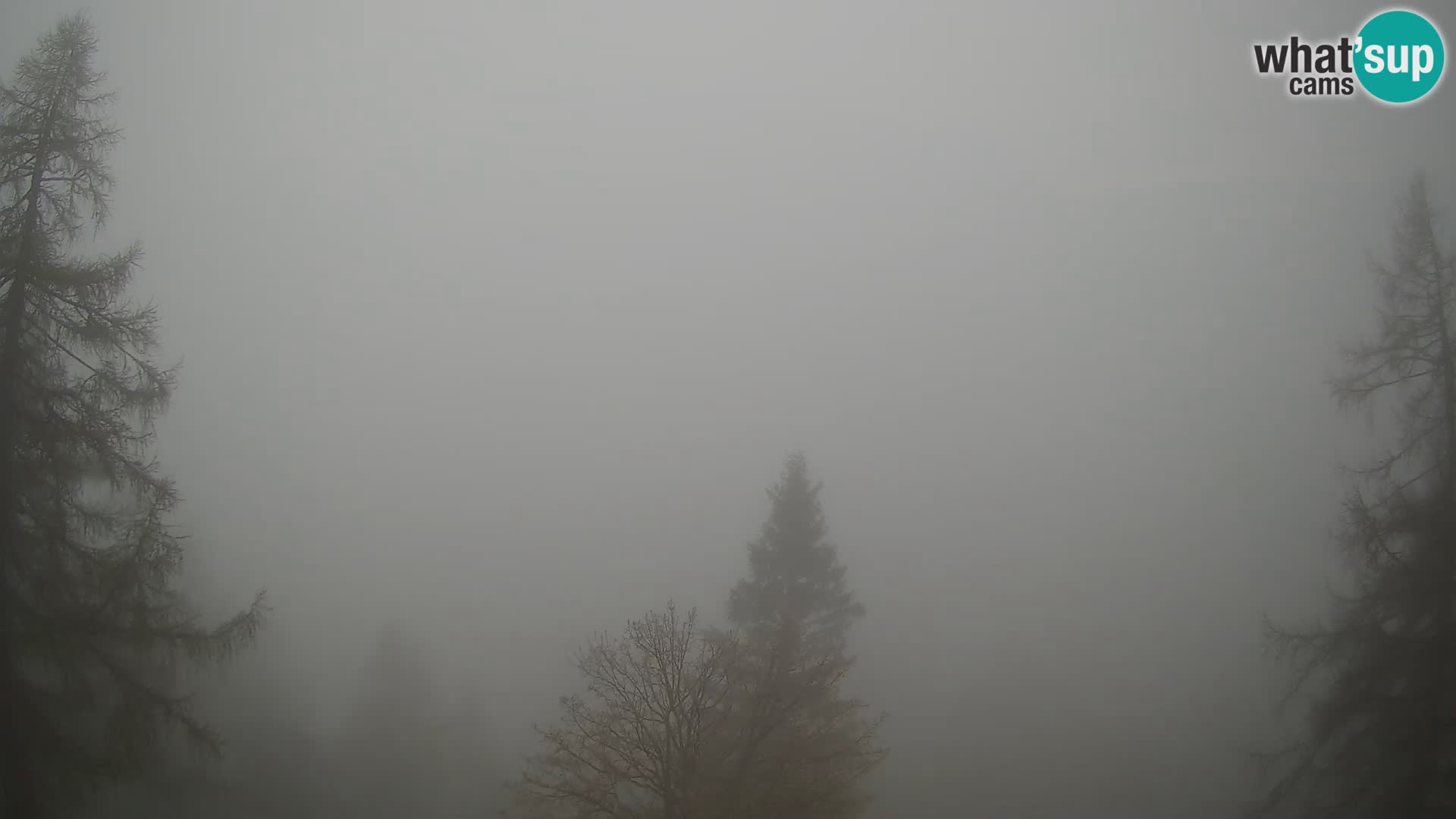Vršič LIVE webcam Erjavčeva house – view to PRISOJNIK – Slovenia
