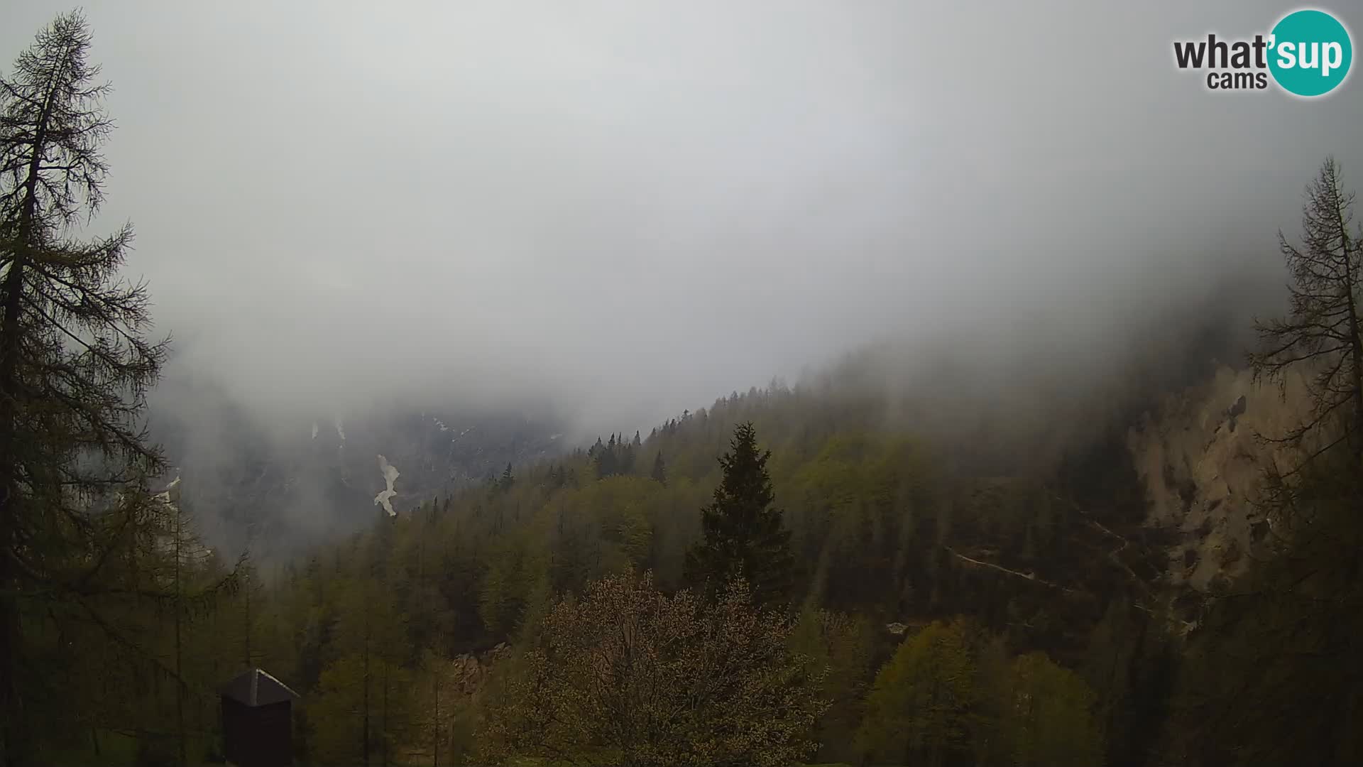 Vršič camera en vivo Casa Erjavčeva – vista a PRISOJNIK – Eslovenia