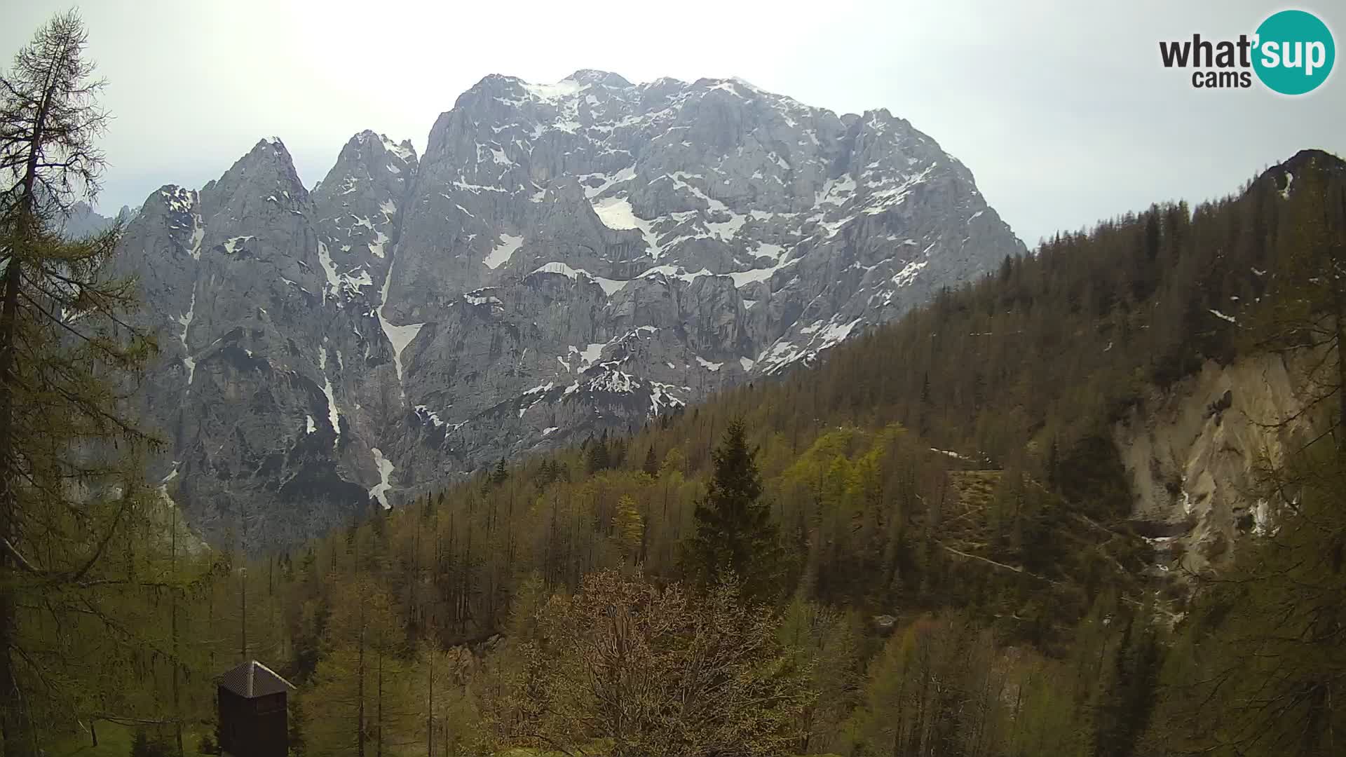 Vršič LIVE Webcam Haus Erjavčeva – Blick auf PRISOJNIK – Slowenien