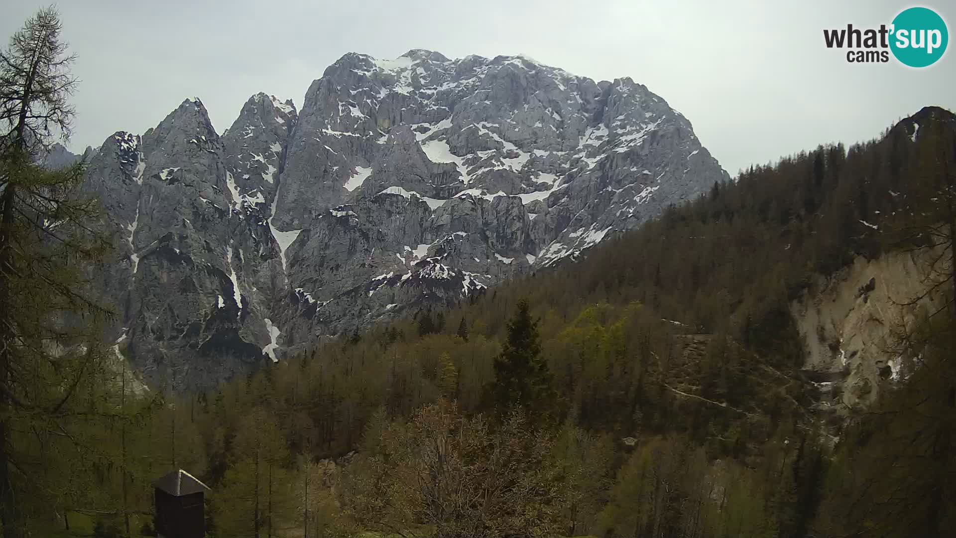 Webcam Vršič LIVE maison Erjavčeva – vue sur PRISOJNIK – Slovénie