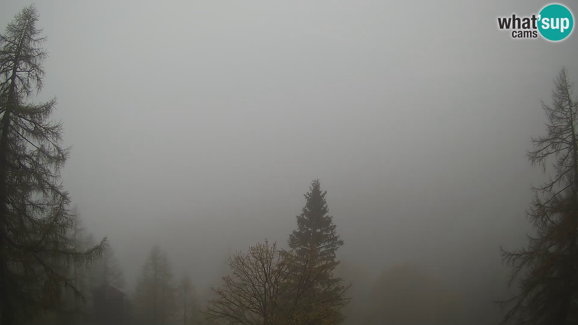 Webcam Vršič LIVE maison Erjavčeva – vue sur PRISOJNIK – Slovénie