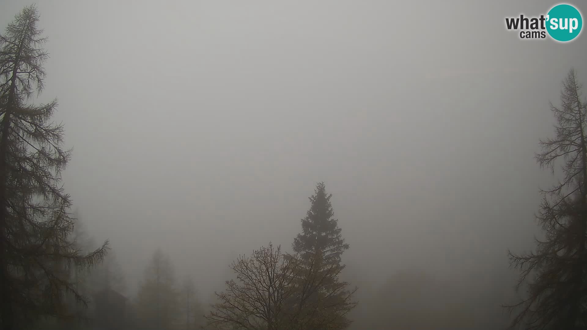 Vršič camera en vivo Casa Erjavčeva – vista a PRISOJNIK – Eslovenia