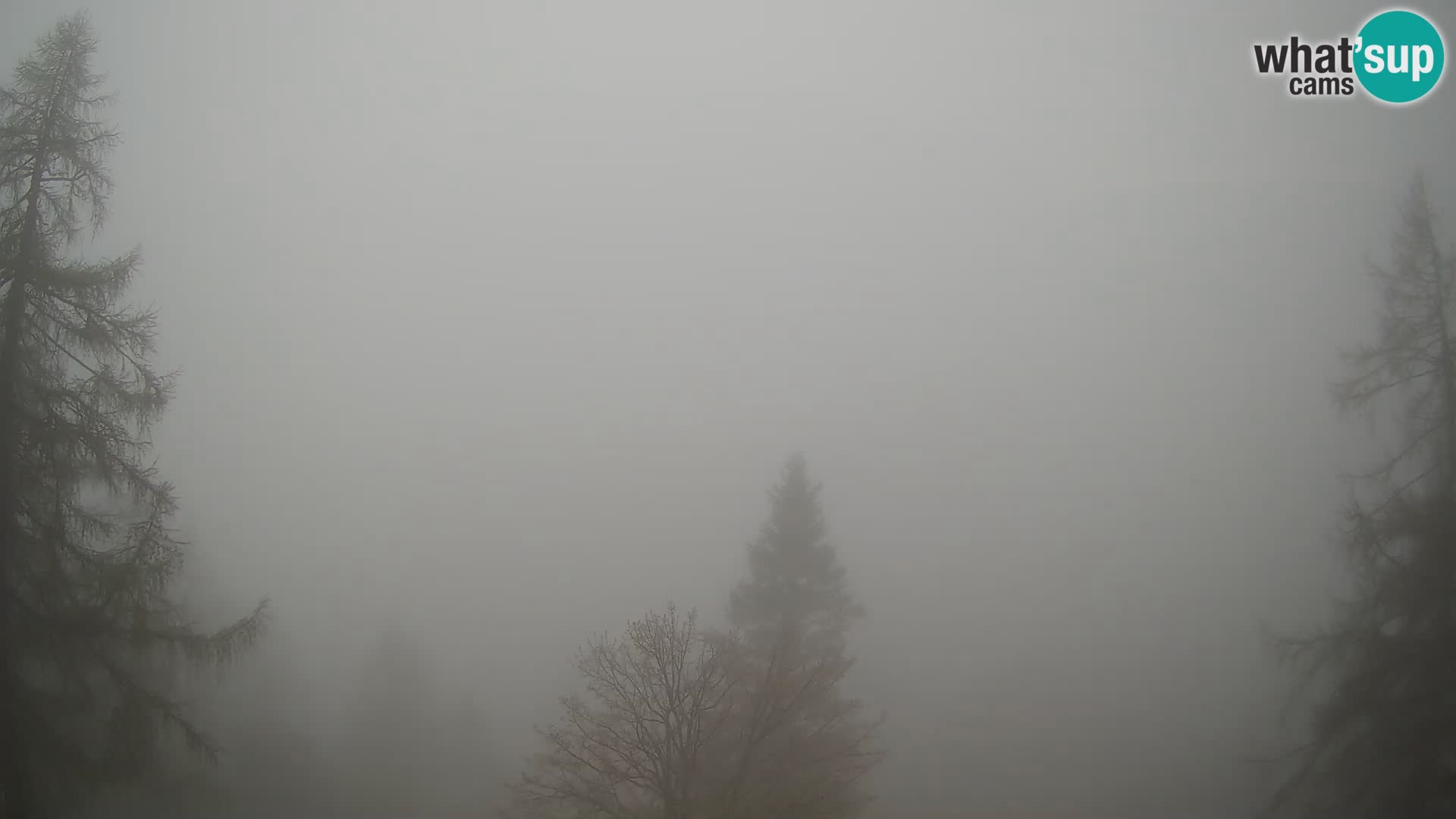 Vršič LIVE webcam casa Erjavčeva – vista sul PRISOJNIK – Slovenia