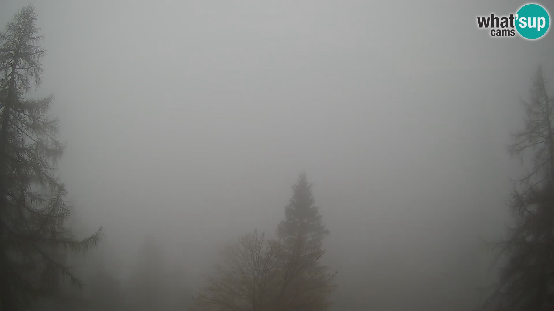 Webcam Vršič LIVE maison Erjavčeva – vue sur PRISOJNIK – Slovénie
