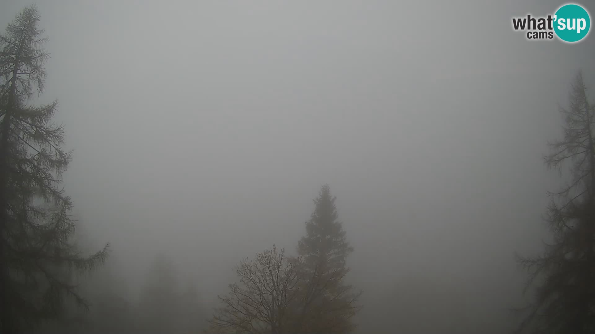 Vršič camera en vivo Casa Erjavčeva – vista a PRISOJNIK – Eslovenia