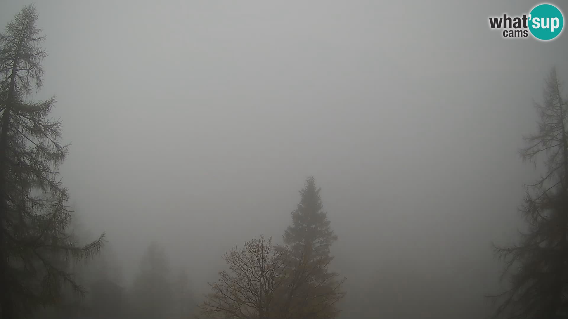 Vršič LIVE webcam Erjavčeva house – view to PRISOJNIK – Slovenia