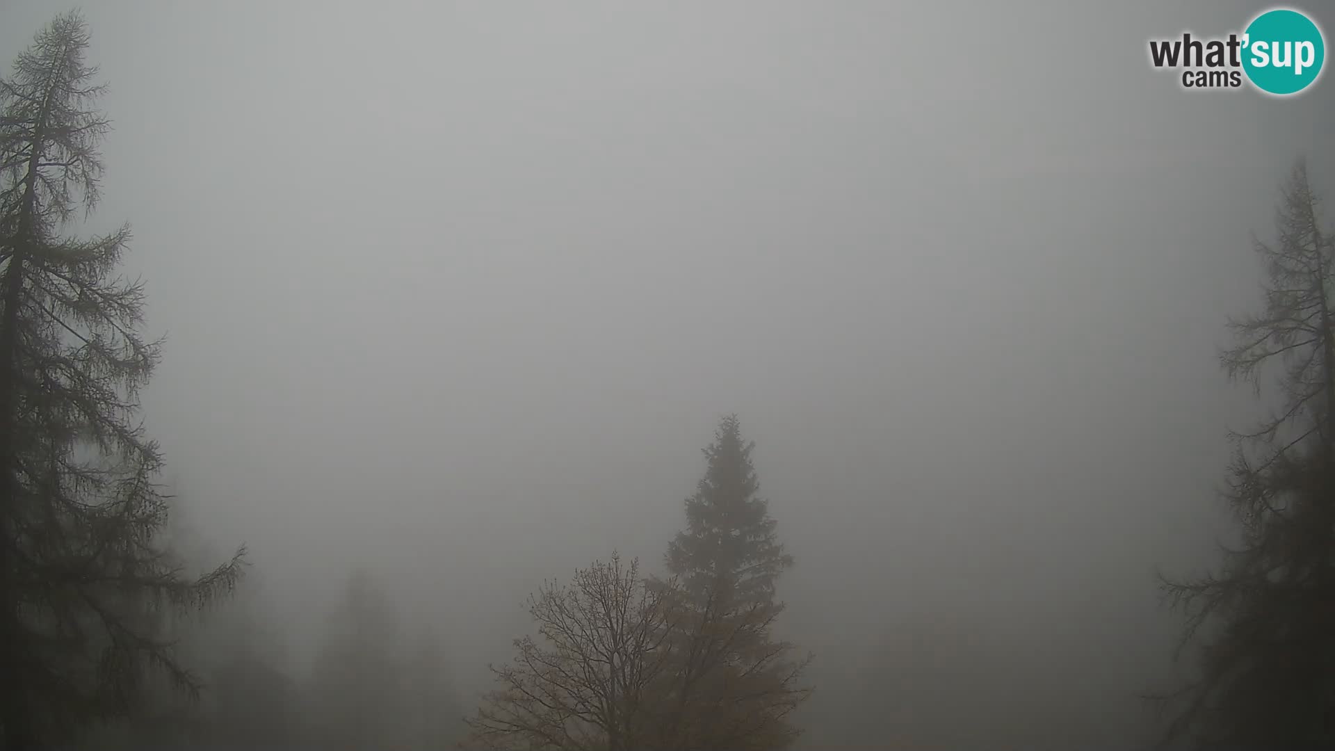 Webcam Vršič LIVE maison Erjavčeva – vue sur PRISOJNIK – Slovénie