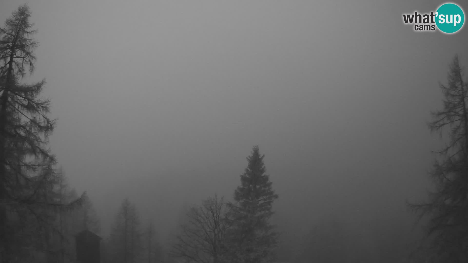 Vršič LIVE webcam Erjavčeva house – view to PRISOJNIK – Slovenia