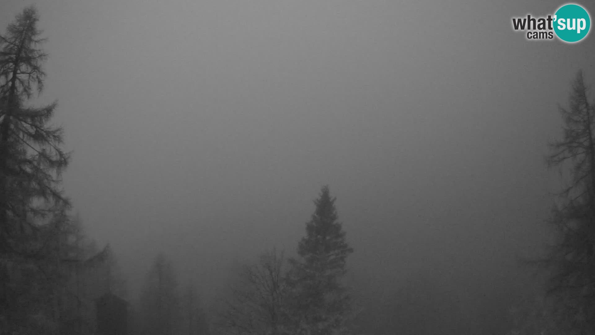 Vršič LIVE webcam casa Erjavčeva – vista sul PRISOJNIK – Slovenia